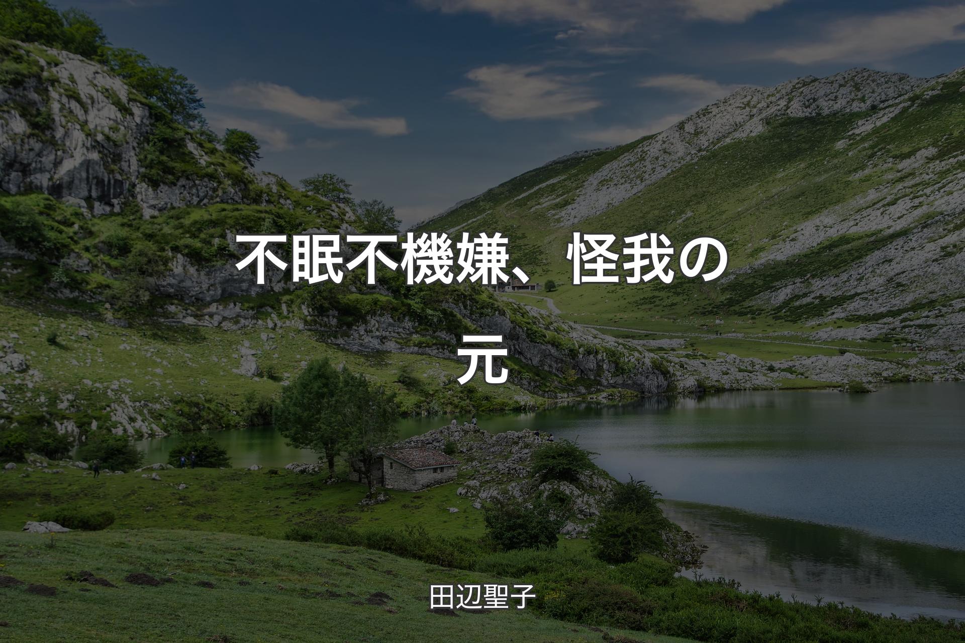 不眠不機嫌、怪我の元 - 田辺聖子