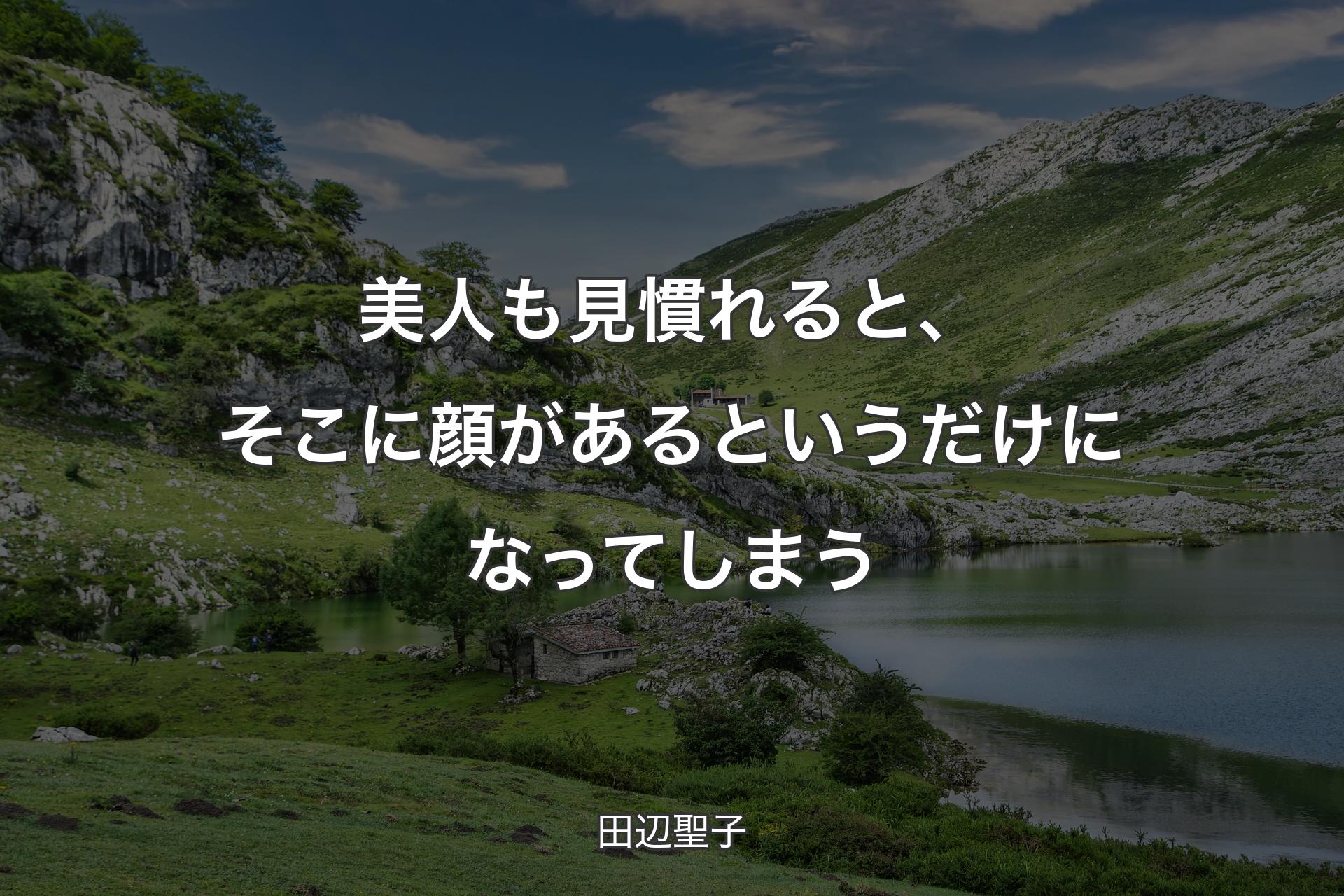 【背景1】美人も見慣れると、そこに顔があるというだけになってしまう - 田辺聖子