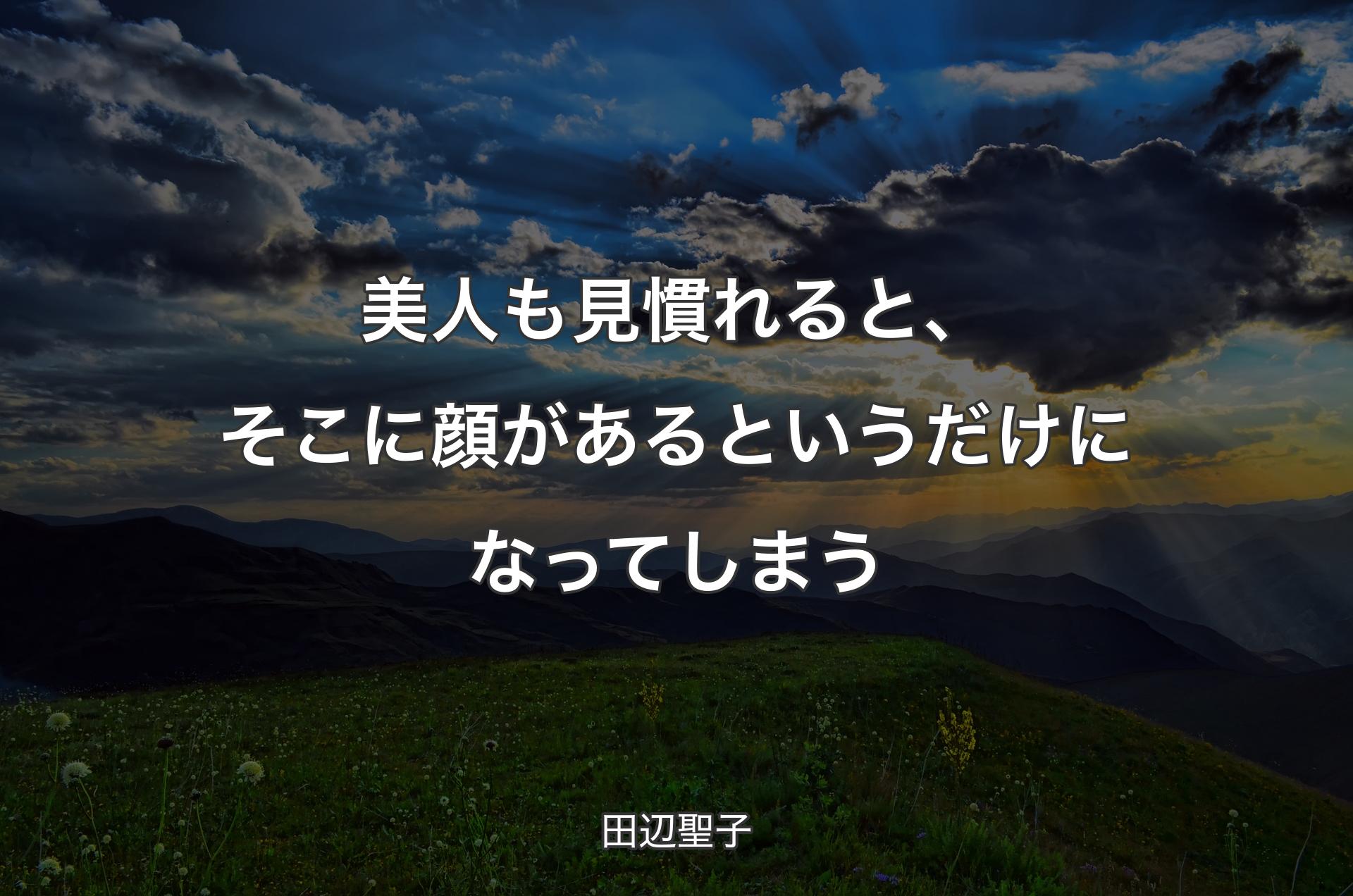 美人も見慣れると、そこに顔があるというだけになってしまう - 田辺聖子