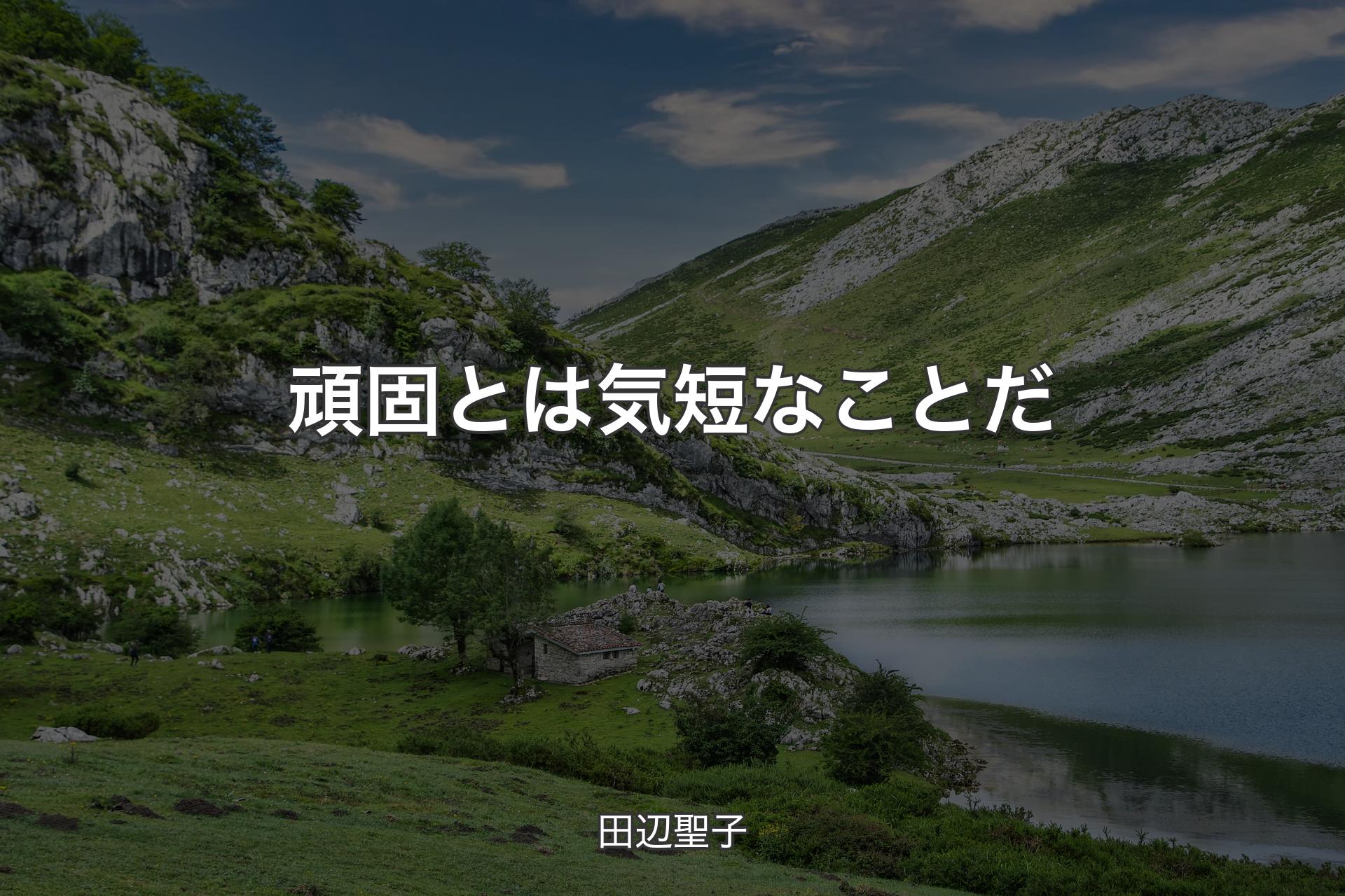 頑固とは気短なことだ - 田辺聖子