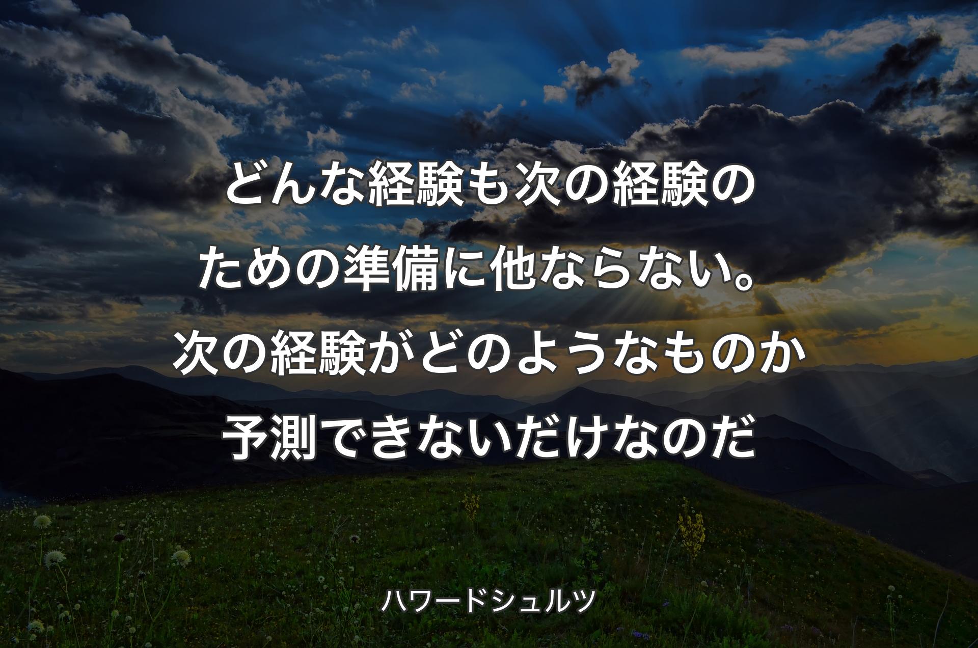 どんな経験も次の経験のための準備に他ならない。次の経験がどのようなものか予測できないだけなのだ - ハワードシュルツ