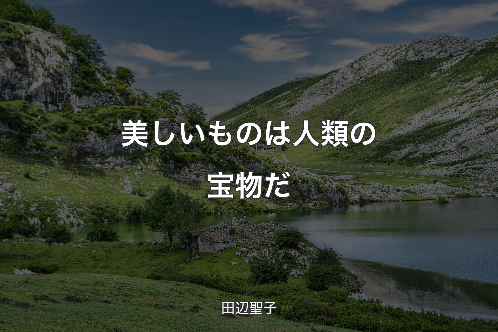 美しいものは人類の宝物だ - 田辺聖子