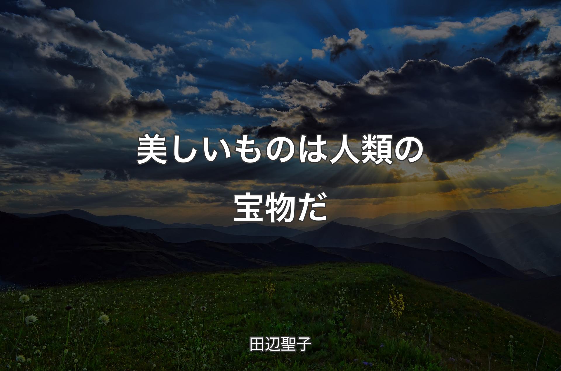 美しいものは人類の宝物だ - 田辺聖子