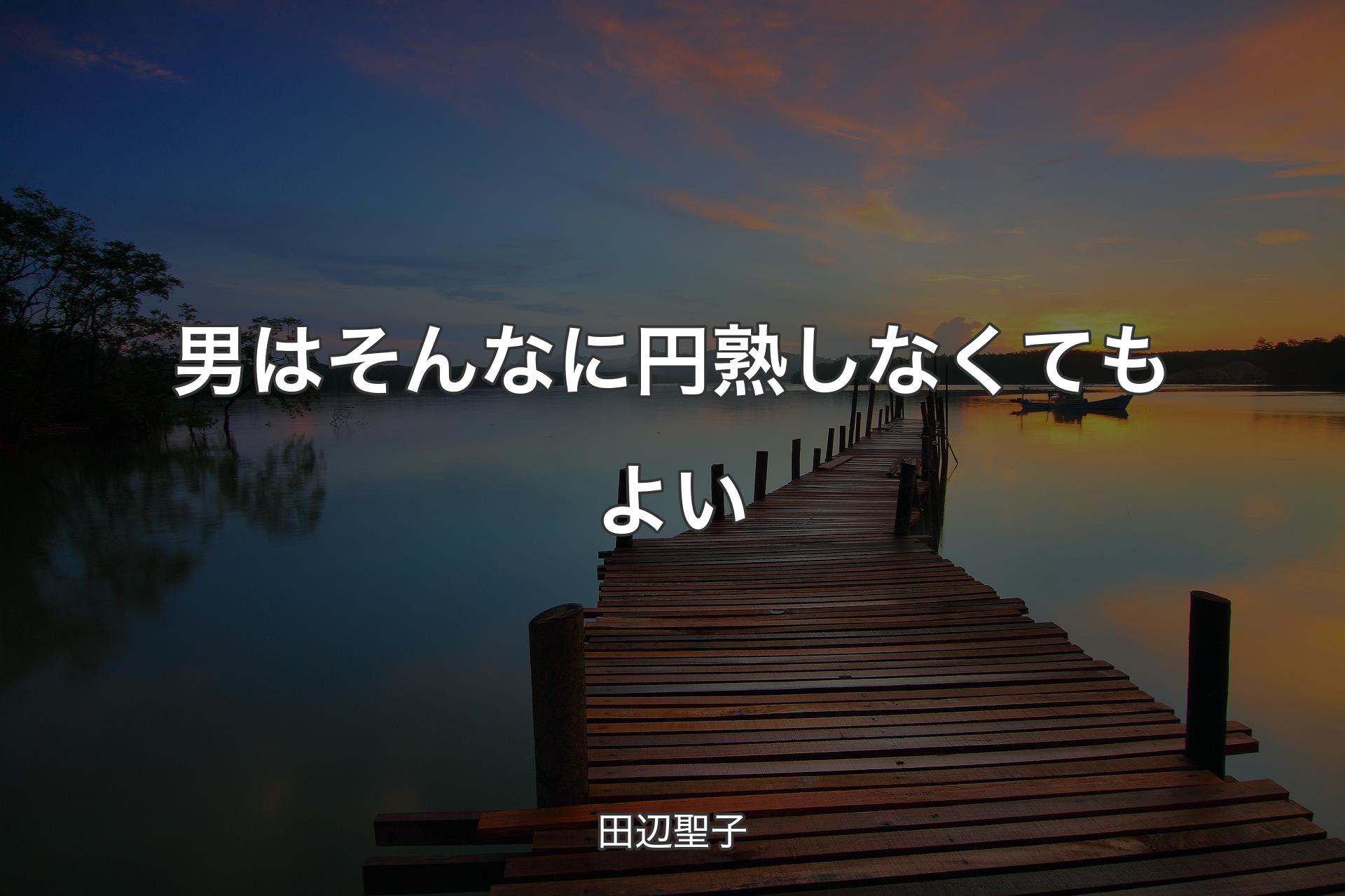 男はそんなに円熟しなくてもよい - 田辺聖子