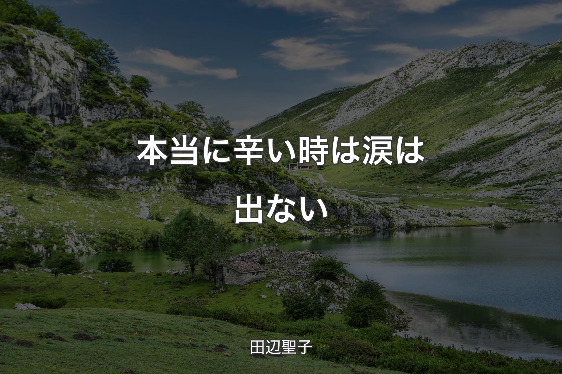 【背景1】本当に辛い時は涙は出ない - 田辺聖子