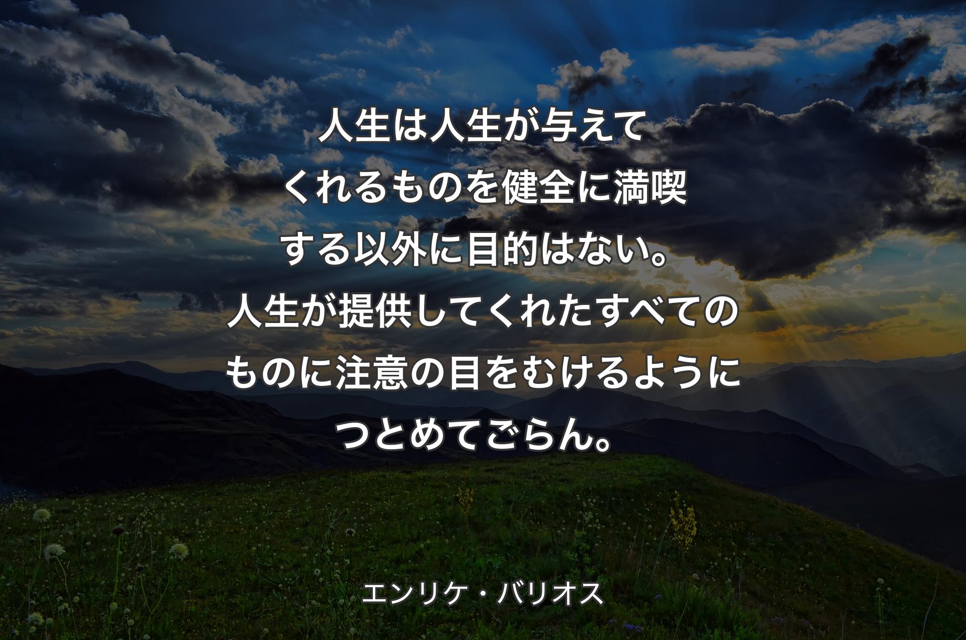 人生は人生が与えてくれるものを健全に満喫する以外に目的はない。人生が提供してくれたすべてのものに注意の目をむけるようにつとめてごらん。 - エンリケ・バリオス