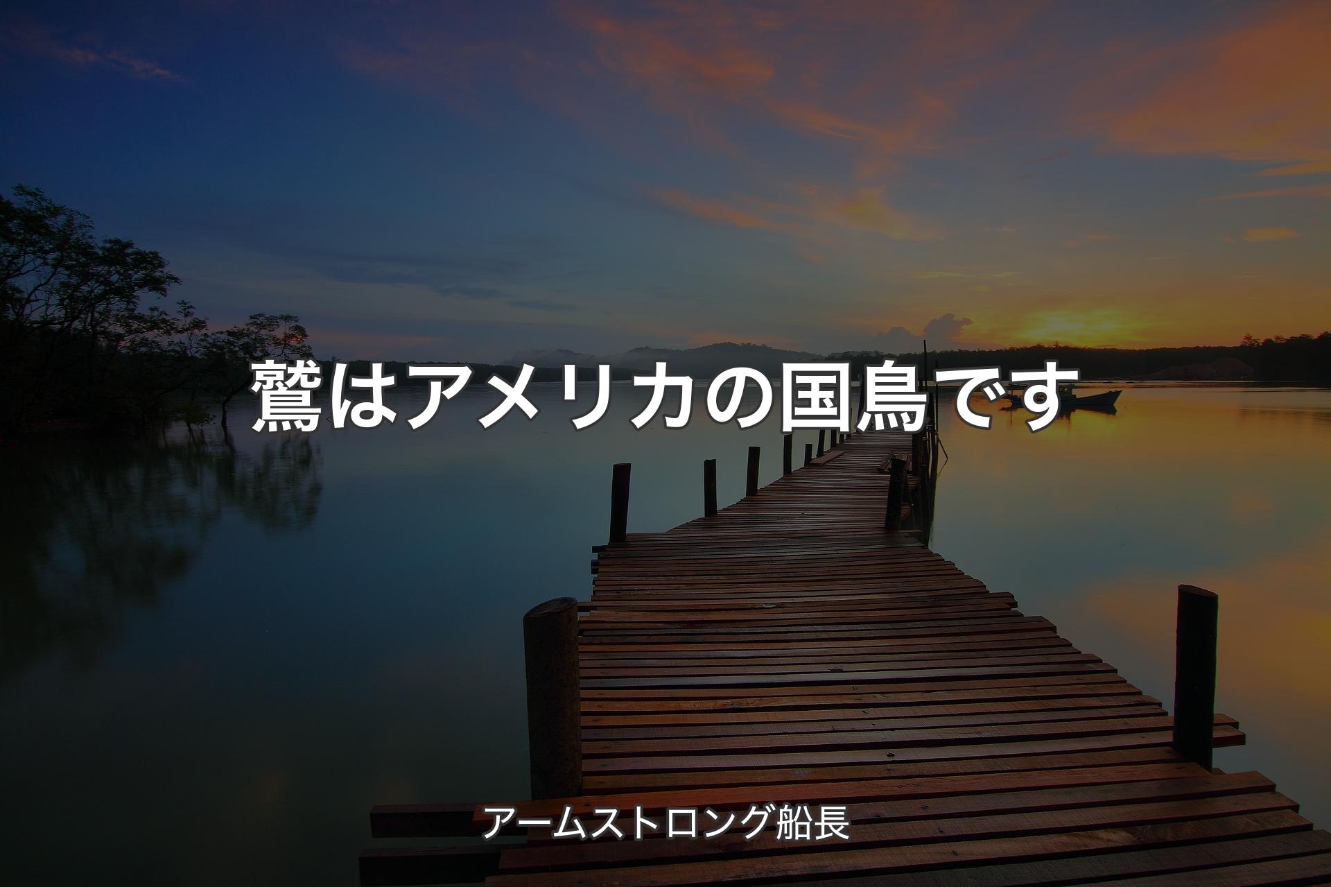 【背景3】鷲はアメリカの国鳥です - アームストロング船長