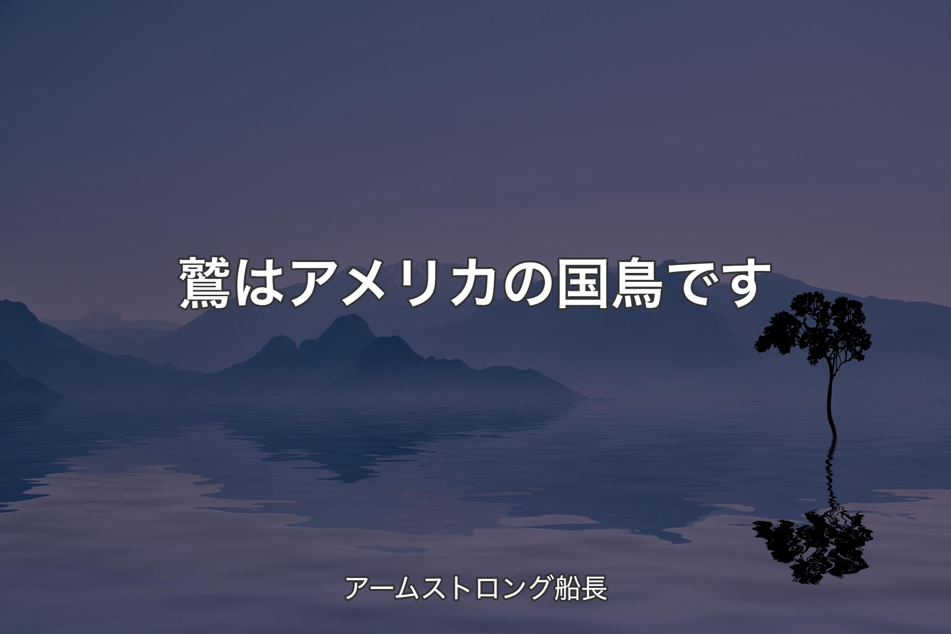 【背景4】鷲はアメリカの国鳥です - アームストロング船長