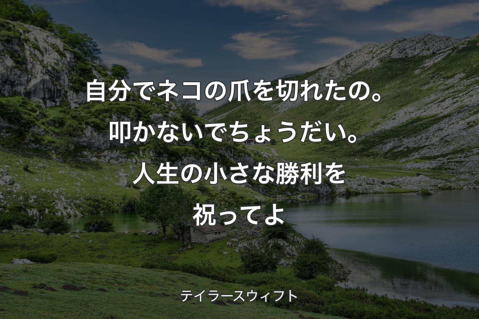 【背景1】自分でネコの爪を切れたの。叩かないでちょうだい。人生の小さな勝利を祝ってよ - テイラースウィフト