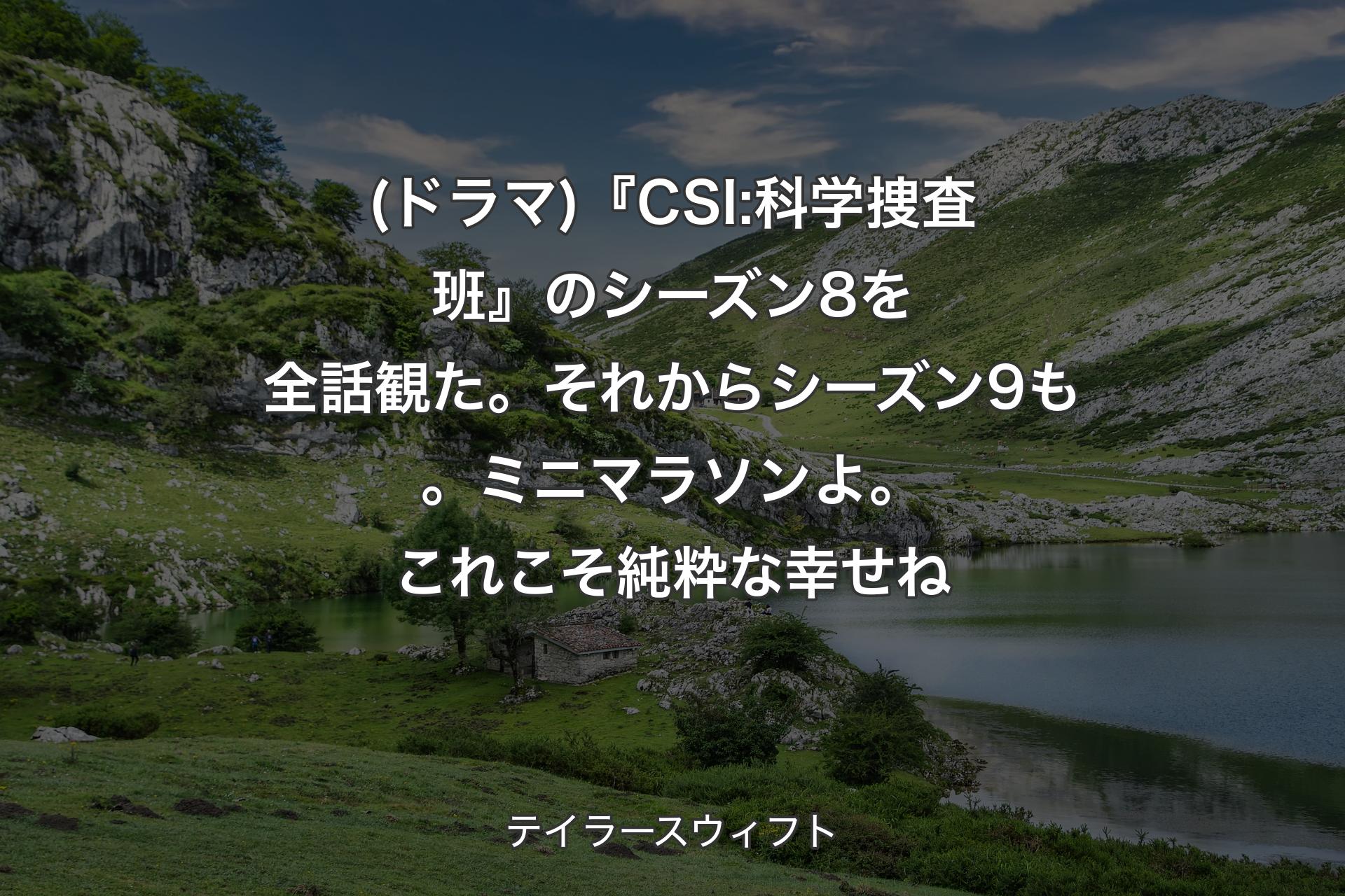 【背景1】(ドラマ)『CSI:科学捜査班』のシーズン8を全話観た。それからシーズン9も。ミニマラソンよ。これこそ純粋な幸せね - テイラースウィフト