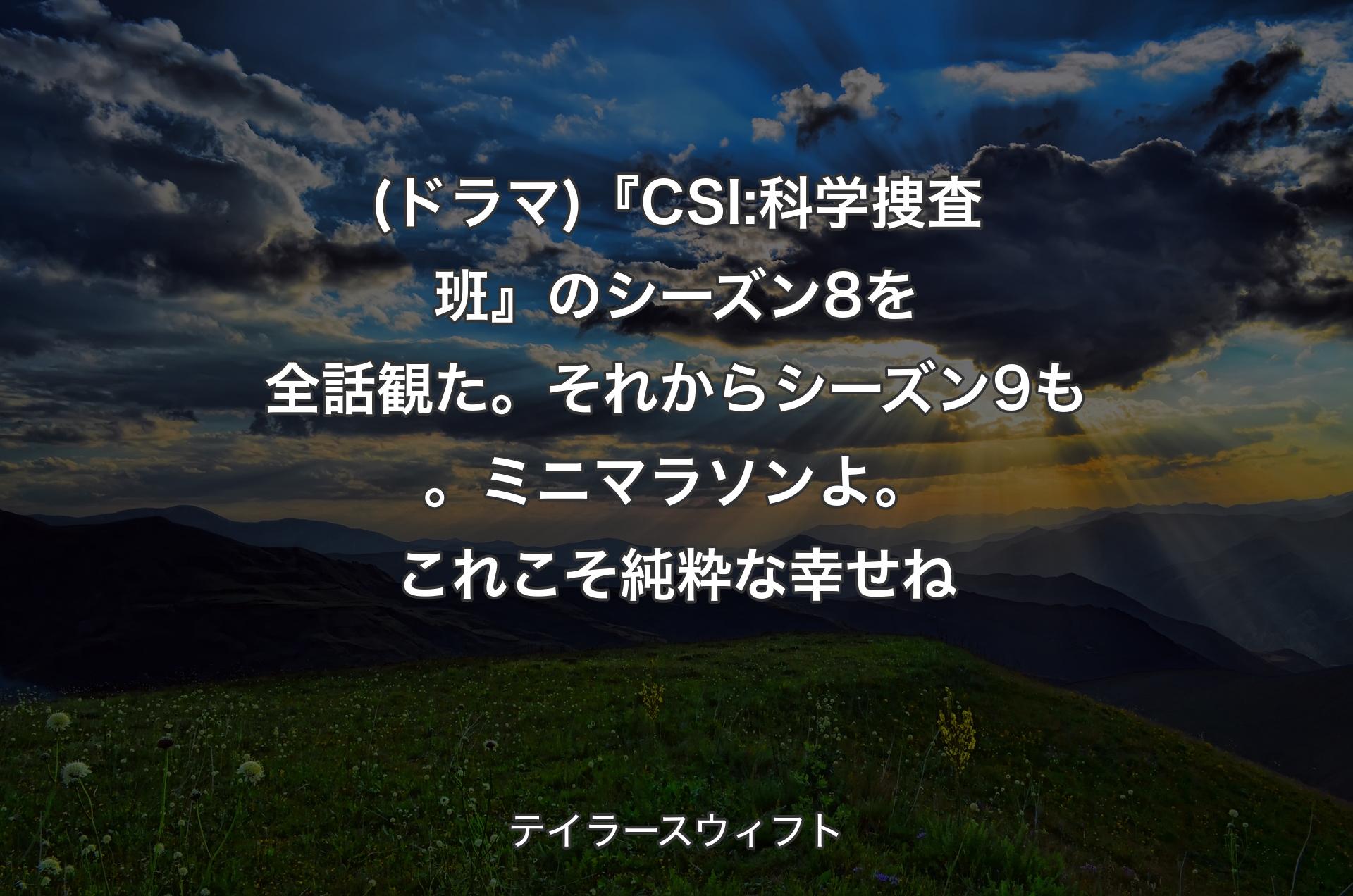 (ドラマ)『CSI:科学捜査班』のシーズン8を全話観た。それからシーズン9も。ミニマラソンよ。これこそ純粋な幸せね - テイラースウィフト