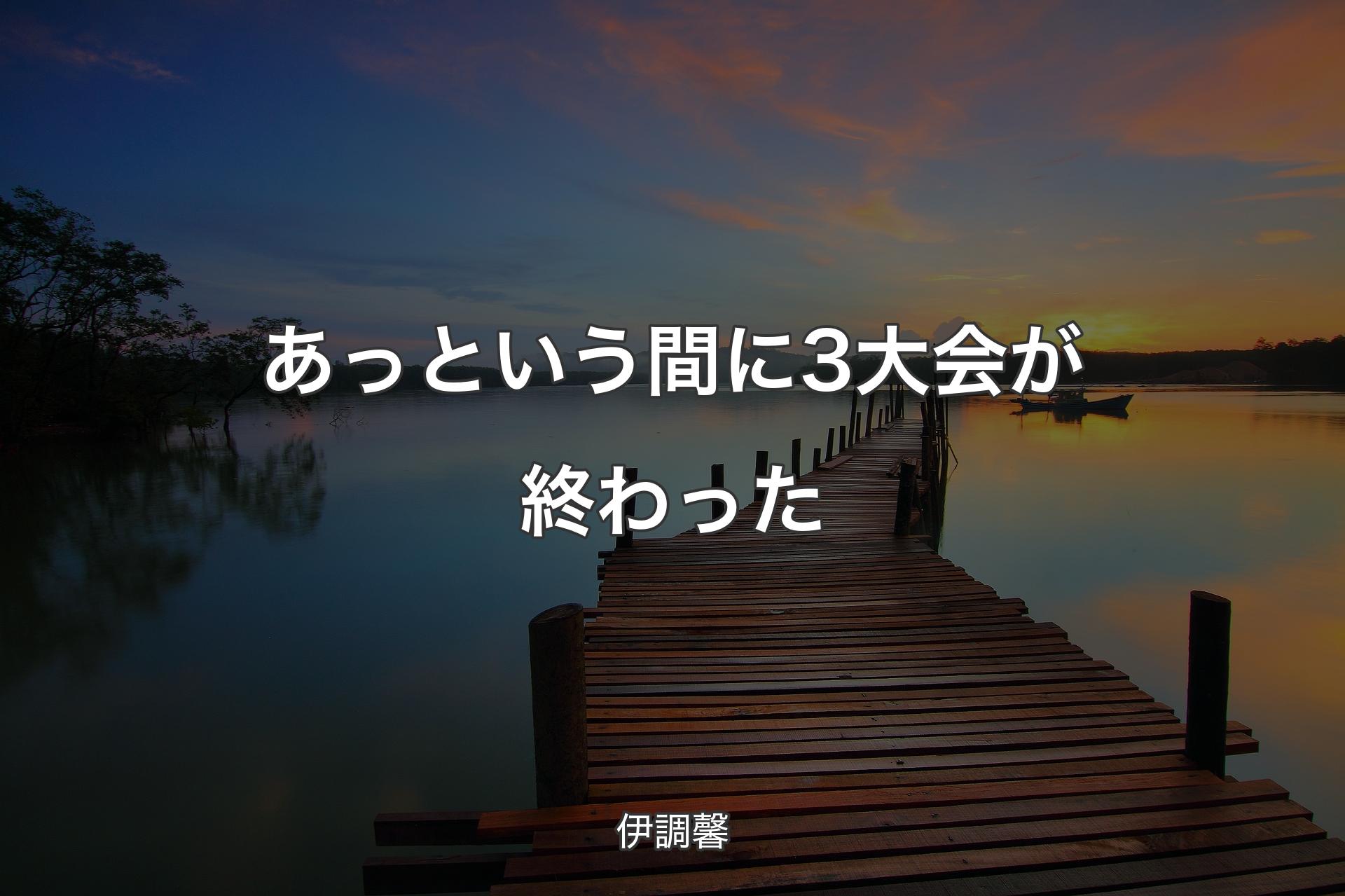 【背景3】あっという間に3大会が終わった - 伊調馨