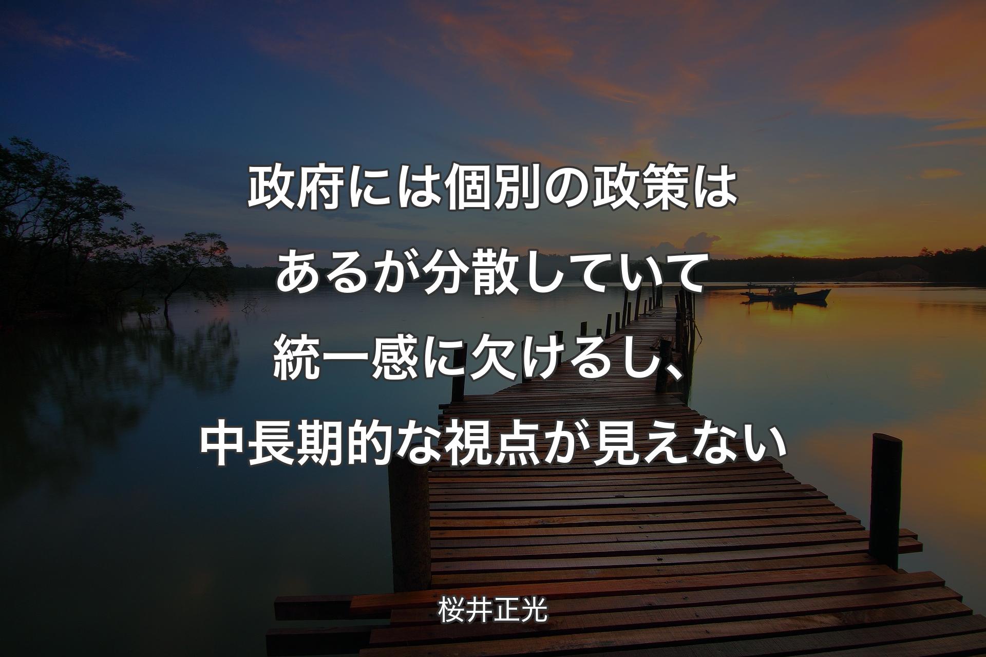 【背景3】政府には個別の政策はあるが分散していて統一感に欠けるし、中長期的な��視点が見えない - 桜井正光