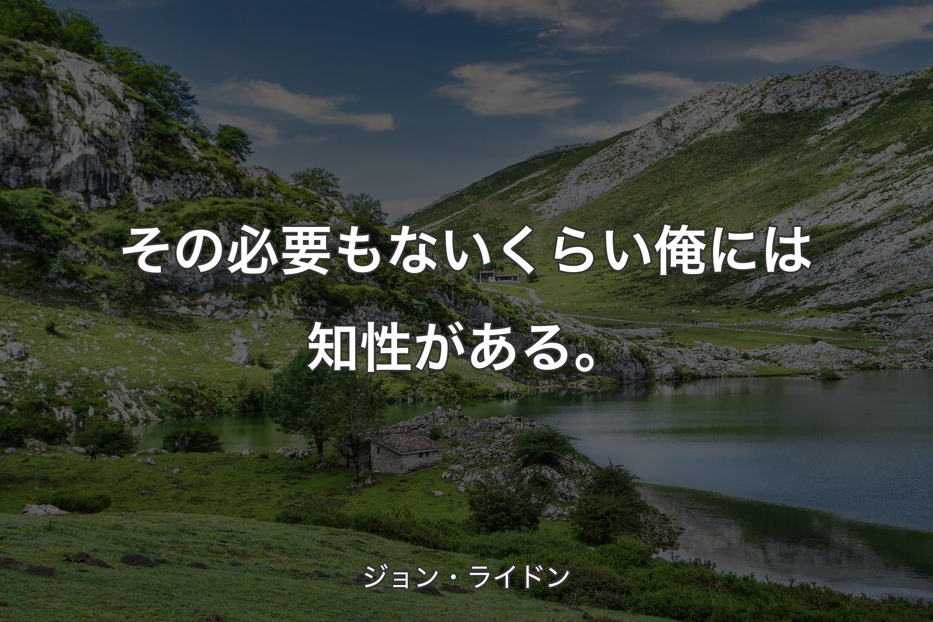 その必要もないくらい俺には知性がある。 - ジョン・ライドン