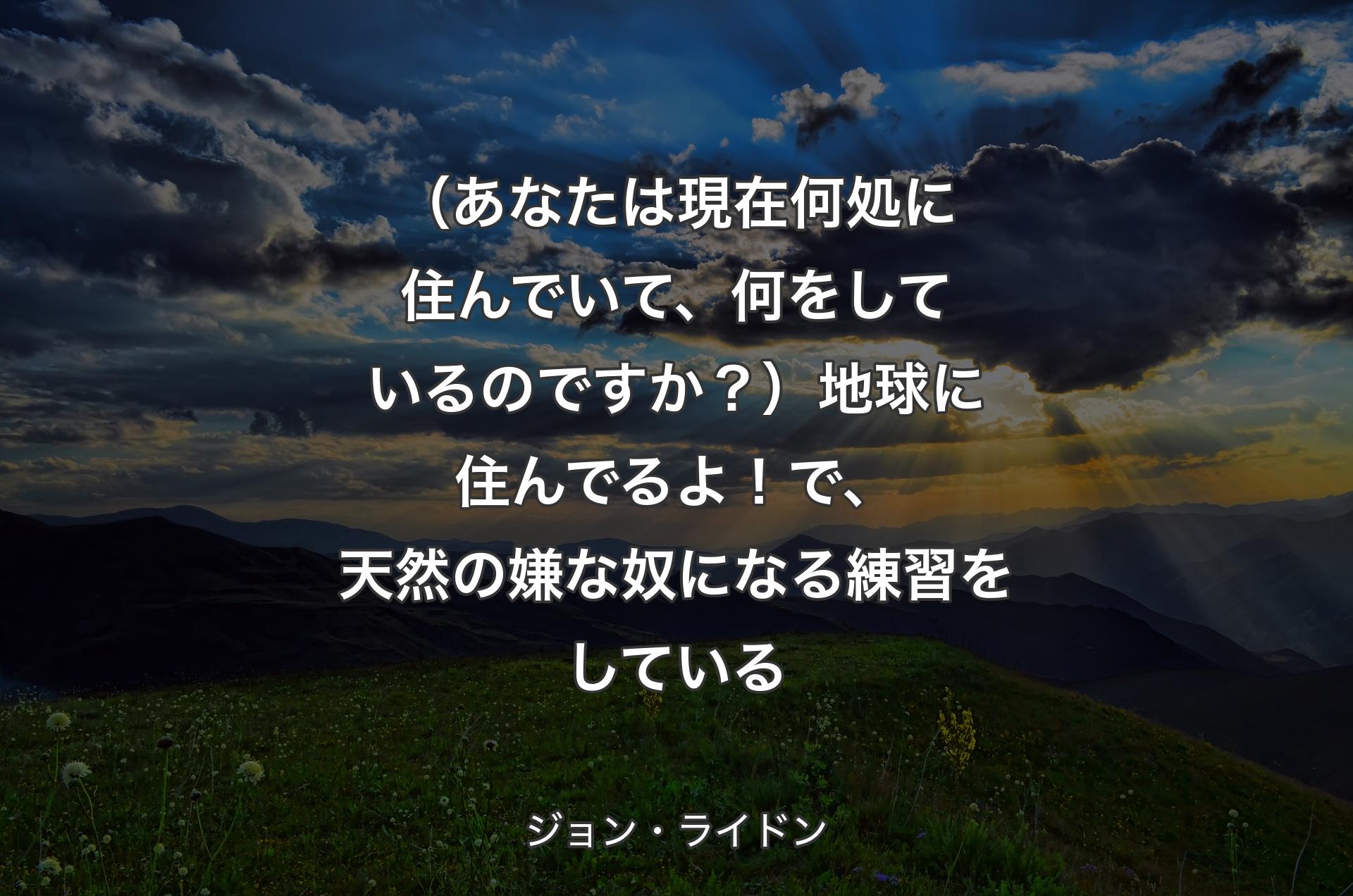 （あなたは現在何処に住んでいて、何をしているのですか？）地球に住んでるよ！で、天然の嫌な奴になる練習をしている - ジョン・ライドン