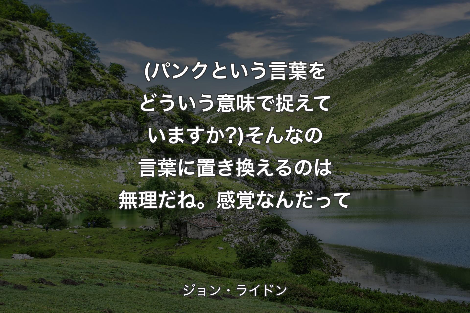 (パンクという言葉をどういう意味で捉えていますか?)そんなの言葉に置き換えるのは無理だね。感覚なんだって - ジョン・ライドン