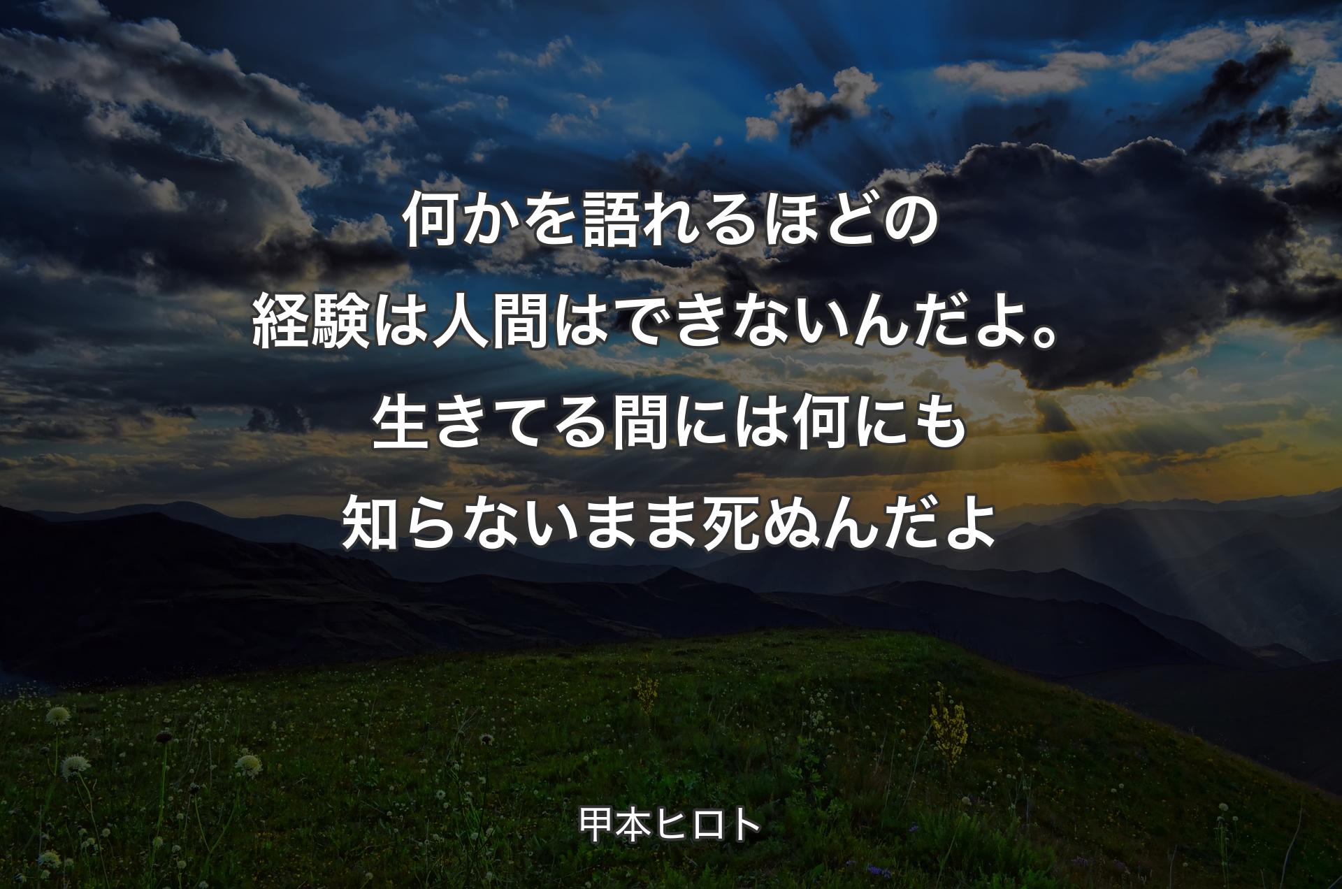 何かを語れるほどの経験は人間はできないんだよ。生きてる間には何にも知らないまま死ぬんだよ - 甲本ヒロト