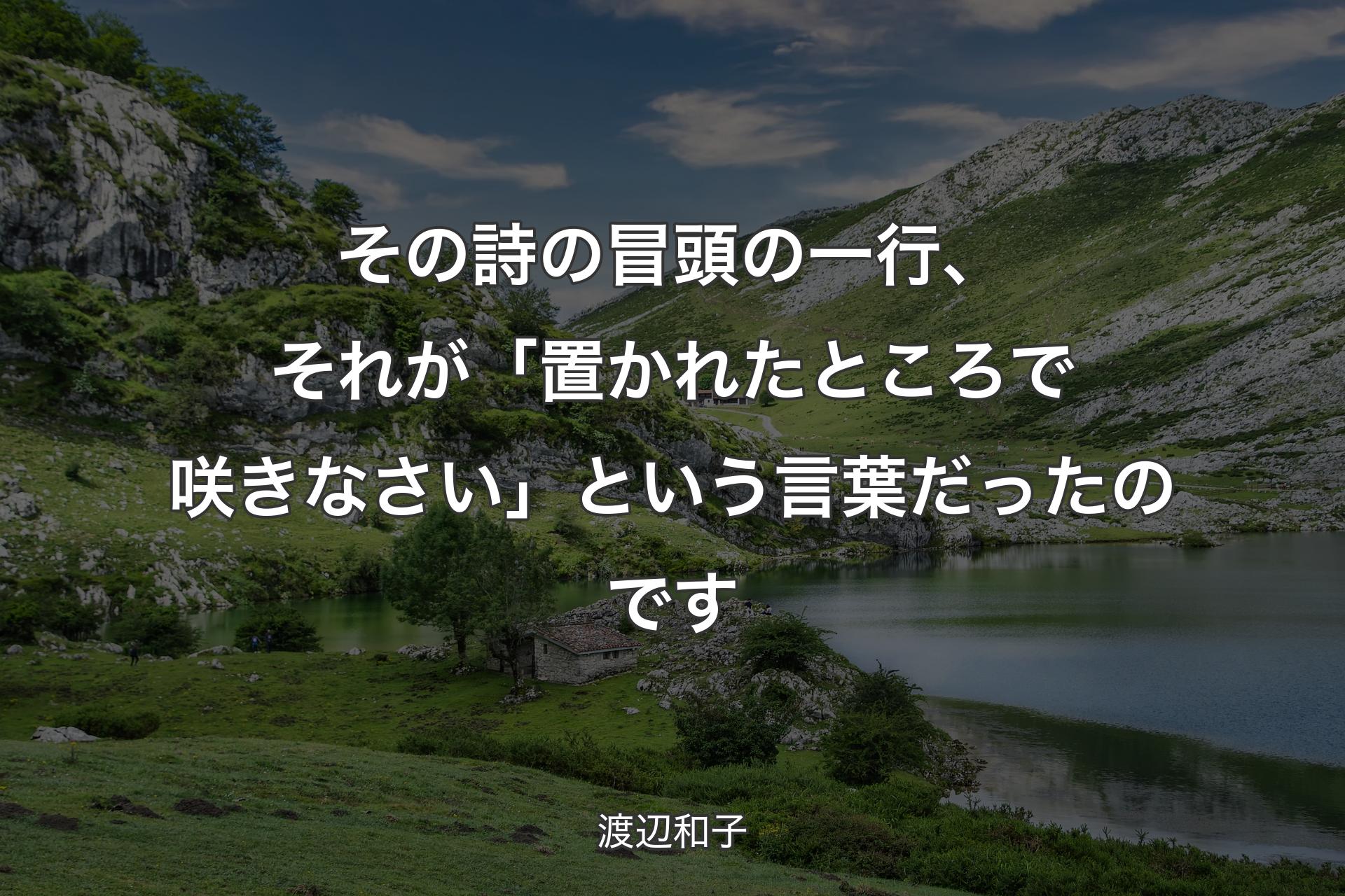 【背景1】その詩の冒頭の一行、それが「置かれたところで咲きなさい」という言葉だったのです - 渡辺和子