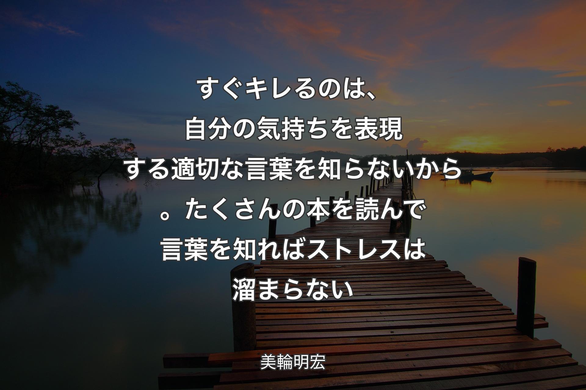 【背景3】すぐキレるのは、自分の気持ちを表現する適切な言葉を知らないから。たくさんの本を読んで言葉を知ればストレスは溜まらない - 美輪明宏