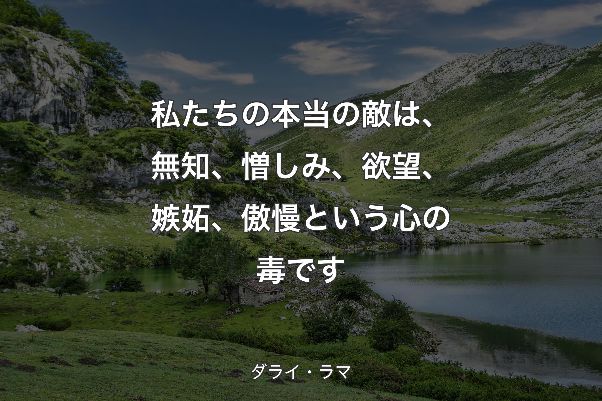 私たちの本当の敵は、無知、憎しみ、欲望、嫉妬、傲慢という心の毒です - ダライ・ラマ