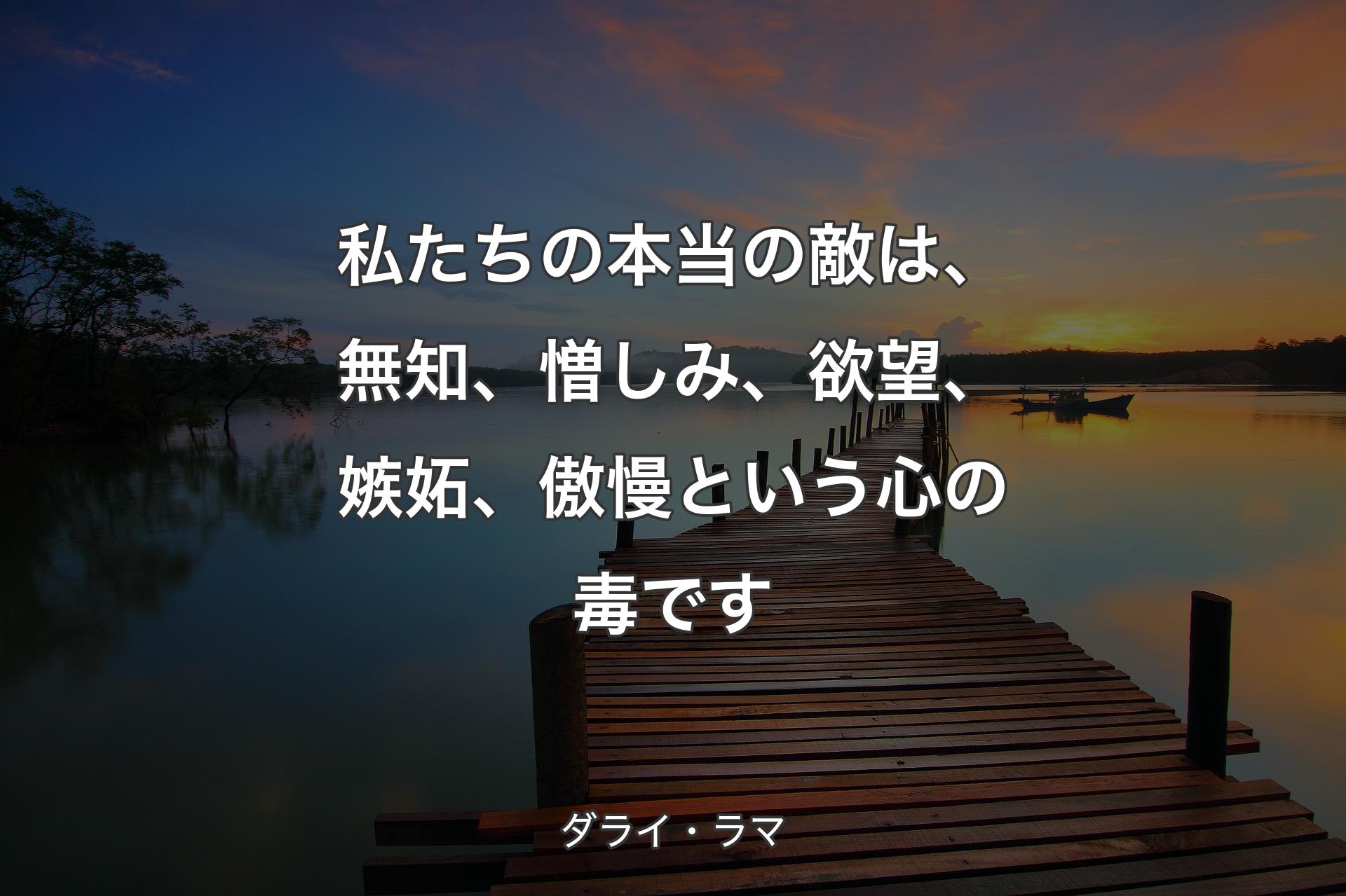 【背景3】私たちの本当の敵は、無知、憎しみ、欲望、嫉妬、傲慢という心の毒です - ダライ・ラマ