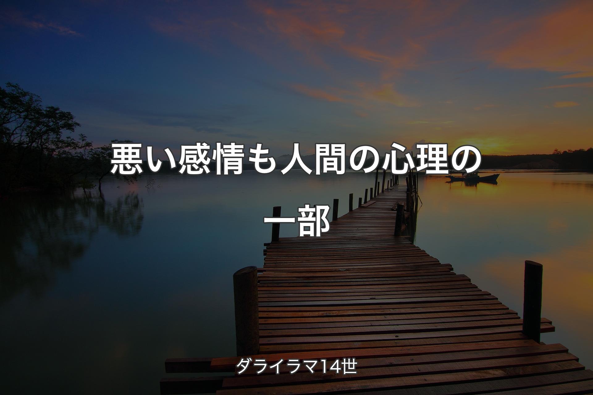 【背景3】悪い感情も人間の心理の一部 - ダライラマ14世