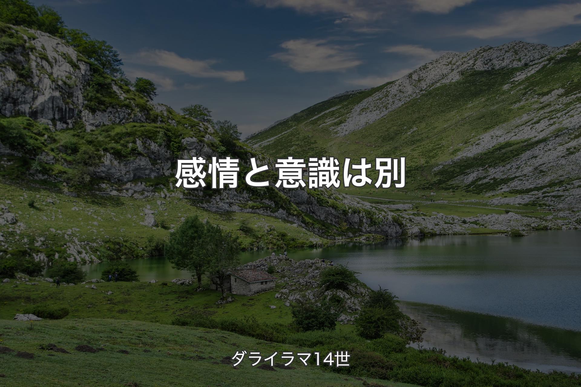 感情と意識は別 - ダライラマ14世