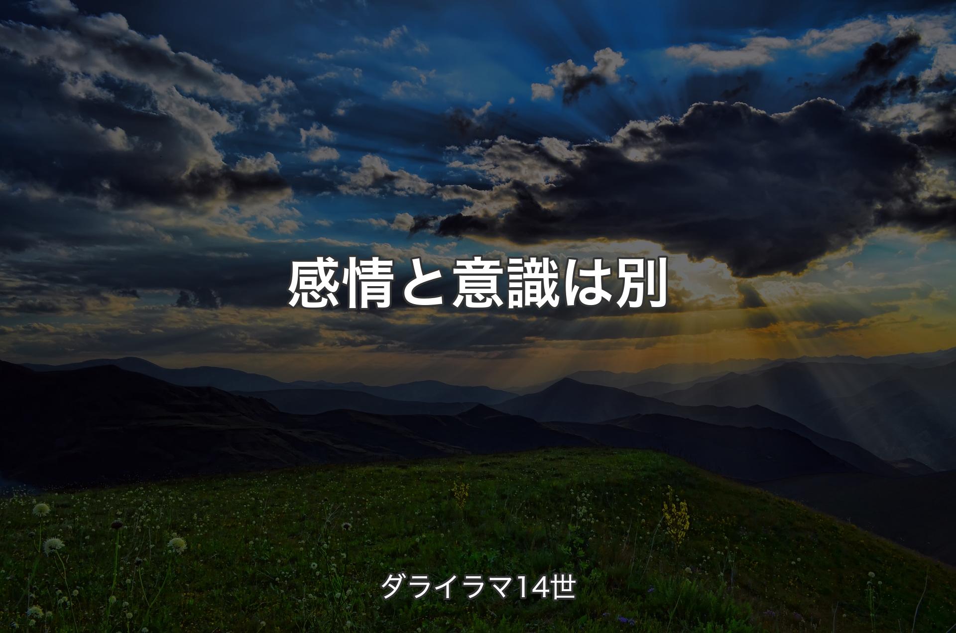 感情と意識は別 - ダライラマ14世