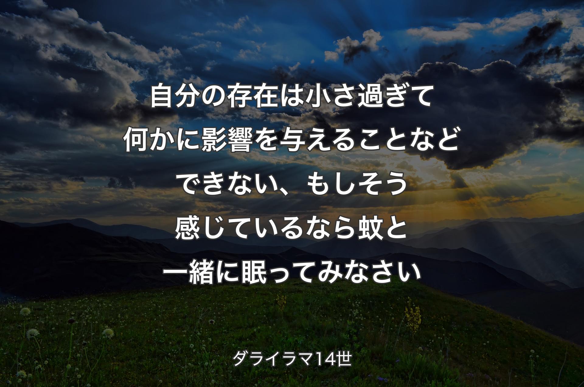 自分の存在は小さ過ぎて何かに影響を与えることなどできない、もしそう感じているなら蚊と一緒に眠ってみなさい - ダライラマ14世