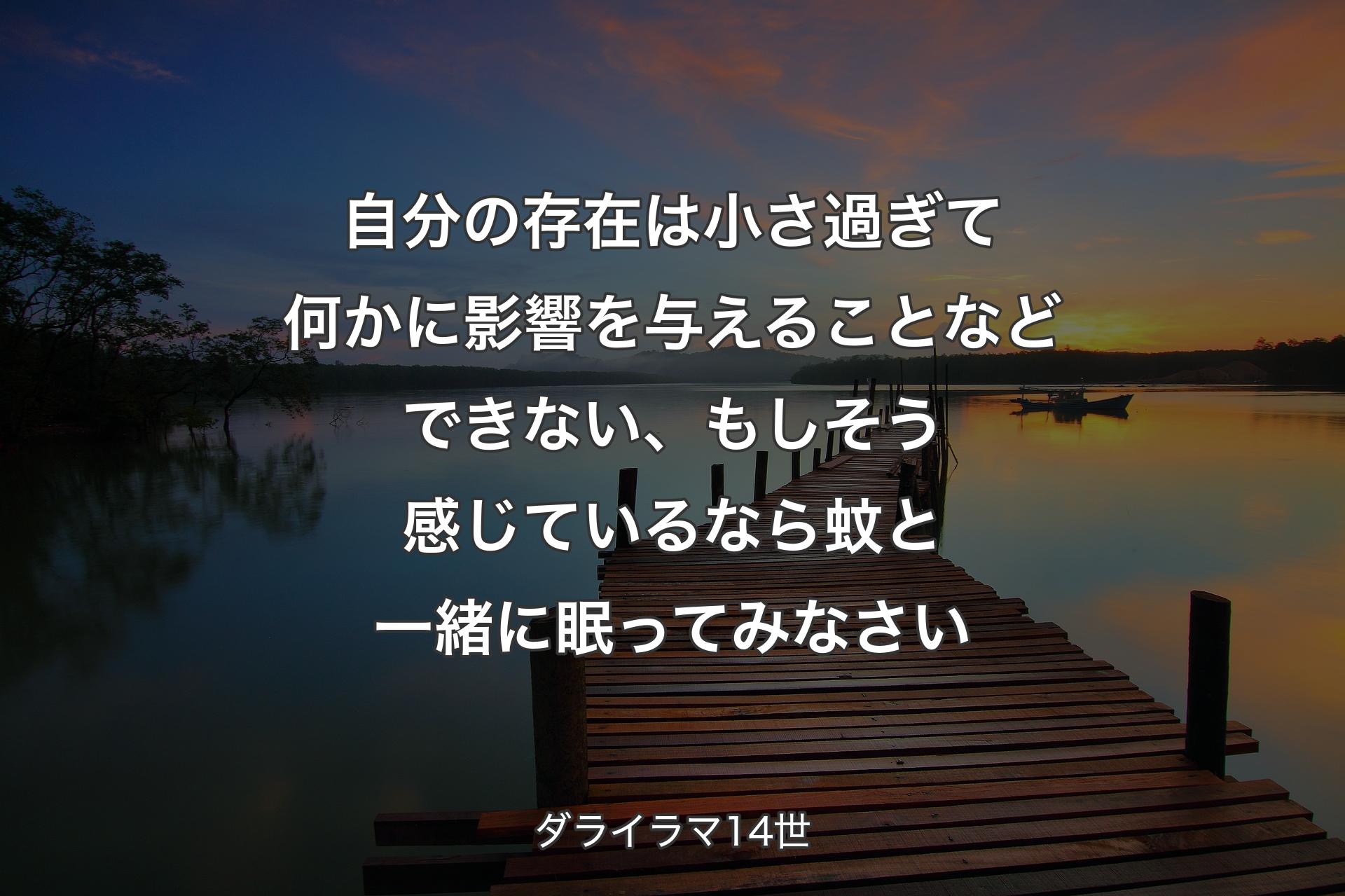 【背景3】自分の存在は小さ過ぎて何かに影響を与えることなどできない、もしそう感じているなら蚊と一緒に眠ってみなさい - ダライラマ14世