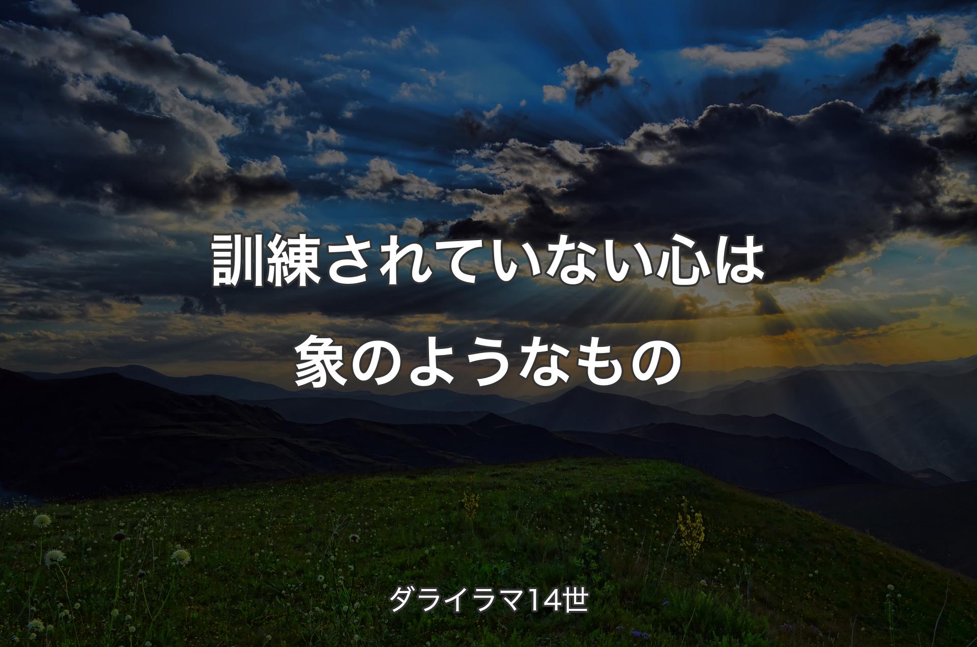 訓練されていない心は象のようなもの - ダライラマ14世