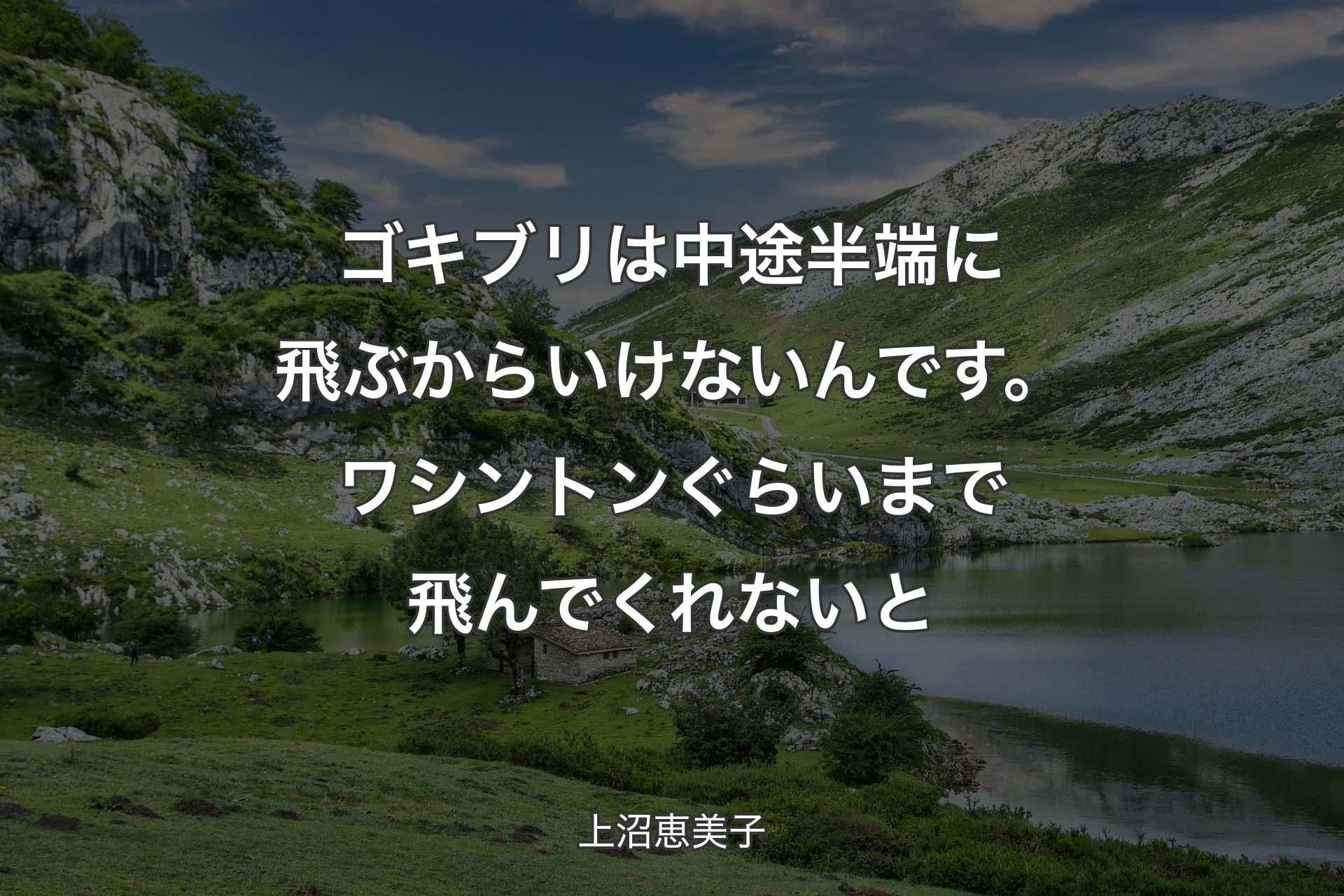 【背景1】ゴキブリは中途半端に飛ぶからいけないんです。ワシントンぐらいまで飛んでくれないと - 上沼恵美子