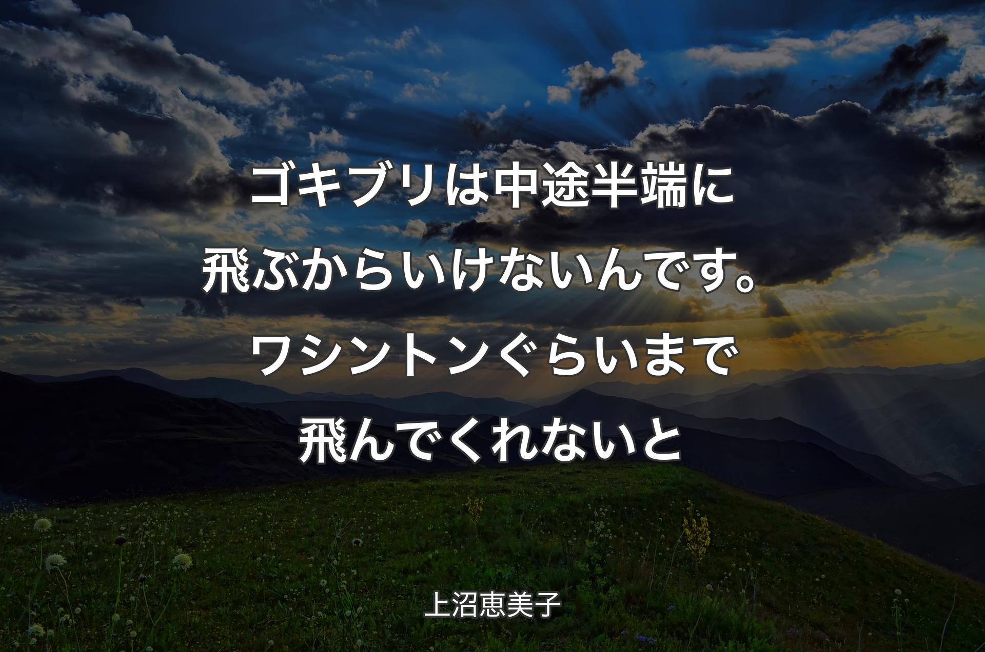 ゴキブリは中途半端に飛ぶからいけないんです。ワシントンぐらいまで飛んでくれないと - 上沼恵美子