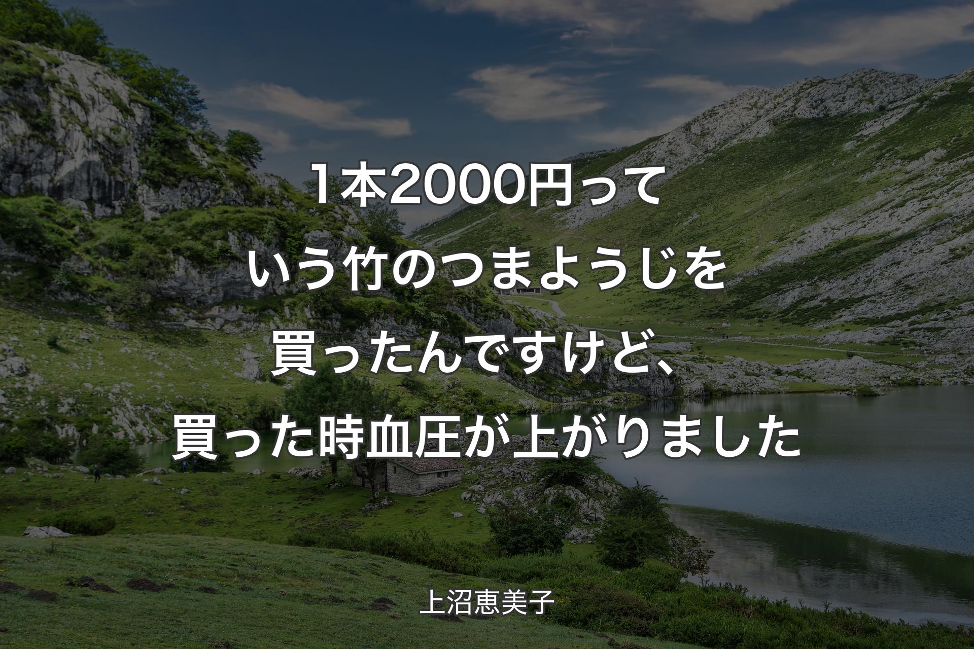 1本2000円っていう竹のつまようじを買ったんですけど、買った時血圧が上がりました - 上沼恵美子