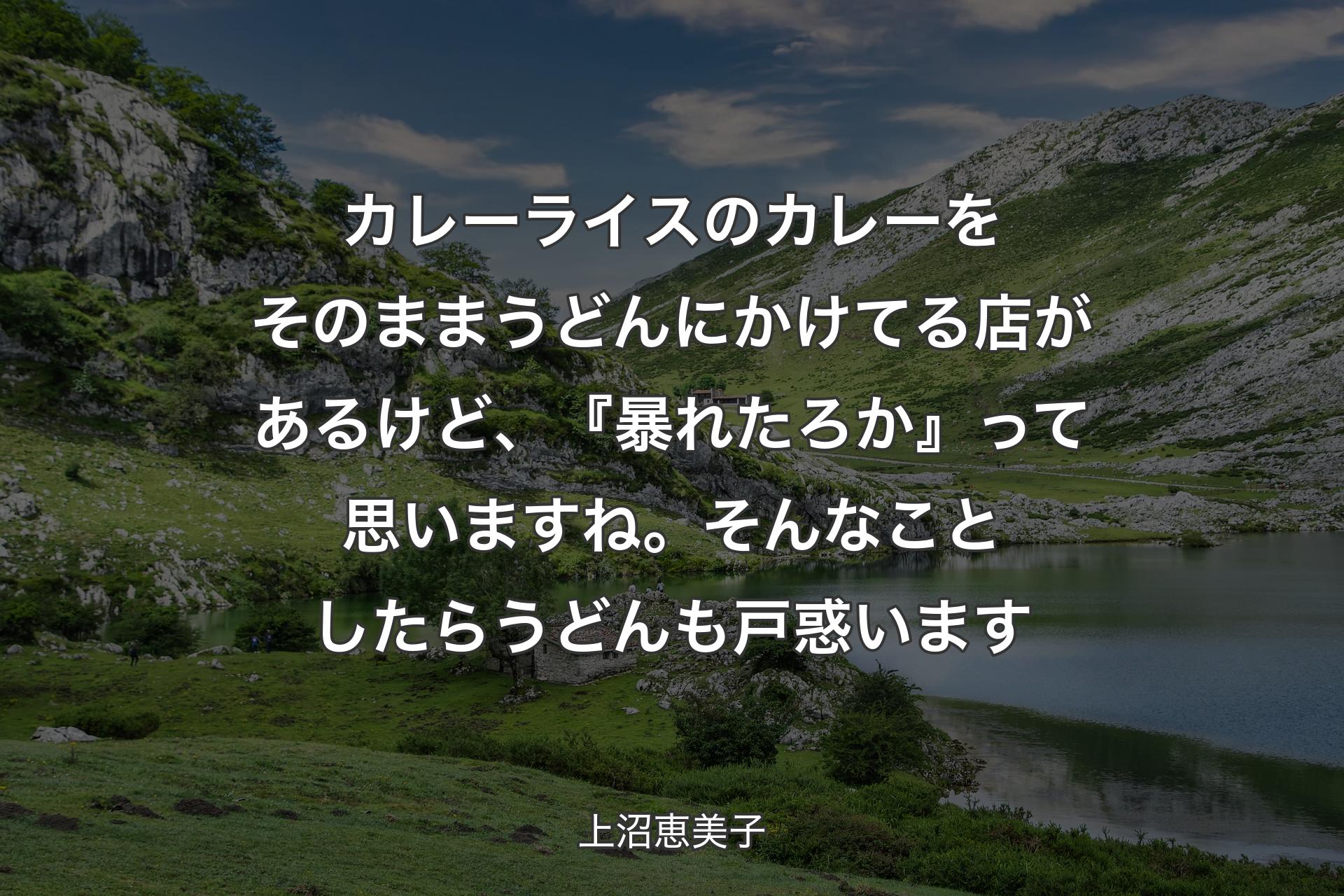 【背景1】カレーライスのカレーをそのままうどんにかけてる店があるけど、『暴れたろか』って思いますね。そんなことしたらうどんも戸惑います - 上沼恵美子