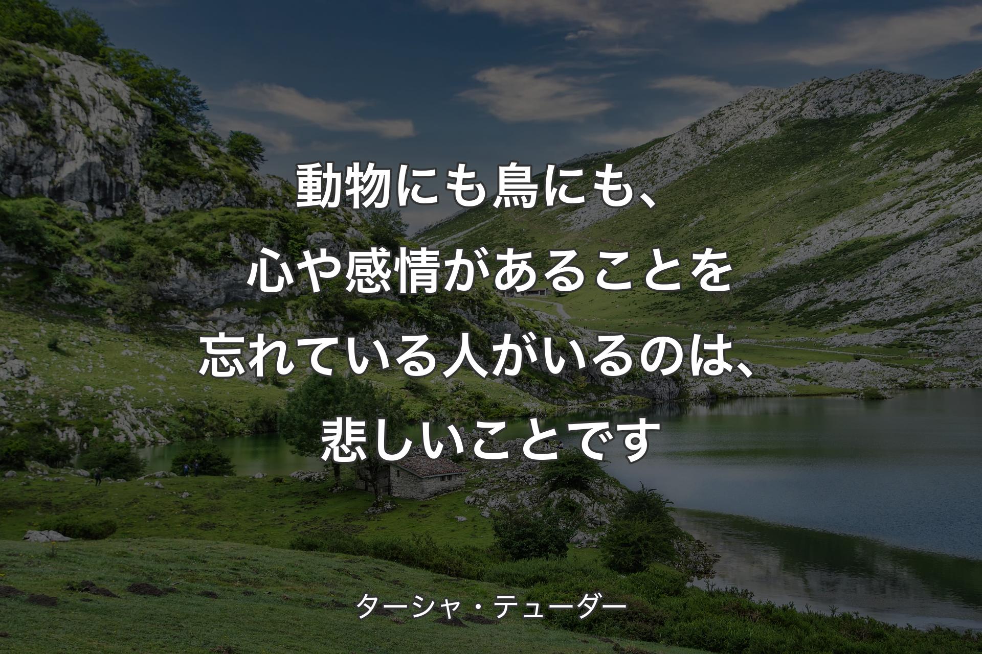 動物にも鳥にも、心や感情があることを忘れている人がいるのは、悲しいことです - ターシャ・テューダー