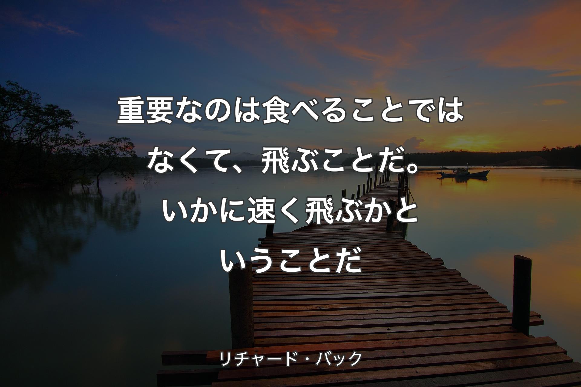 【背景3】重要なのは食べることではなくて、飛ぶことだ。いかに速��く飛ぶかということだ - リチャード・バック