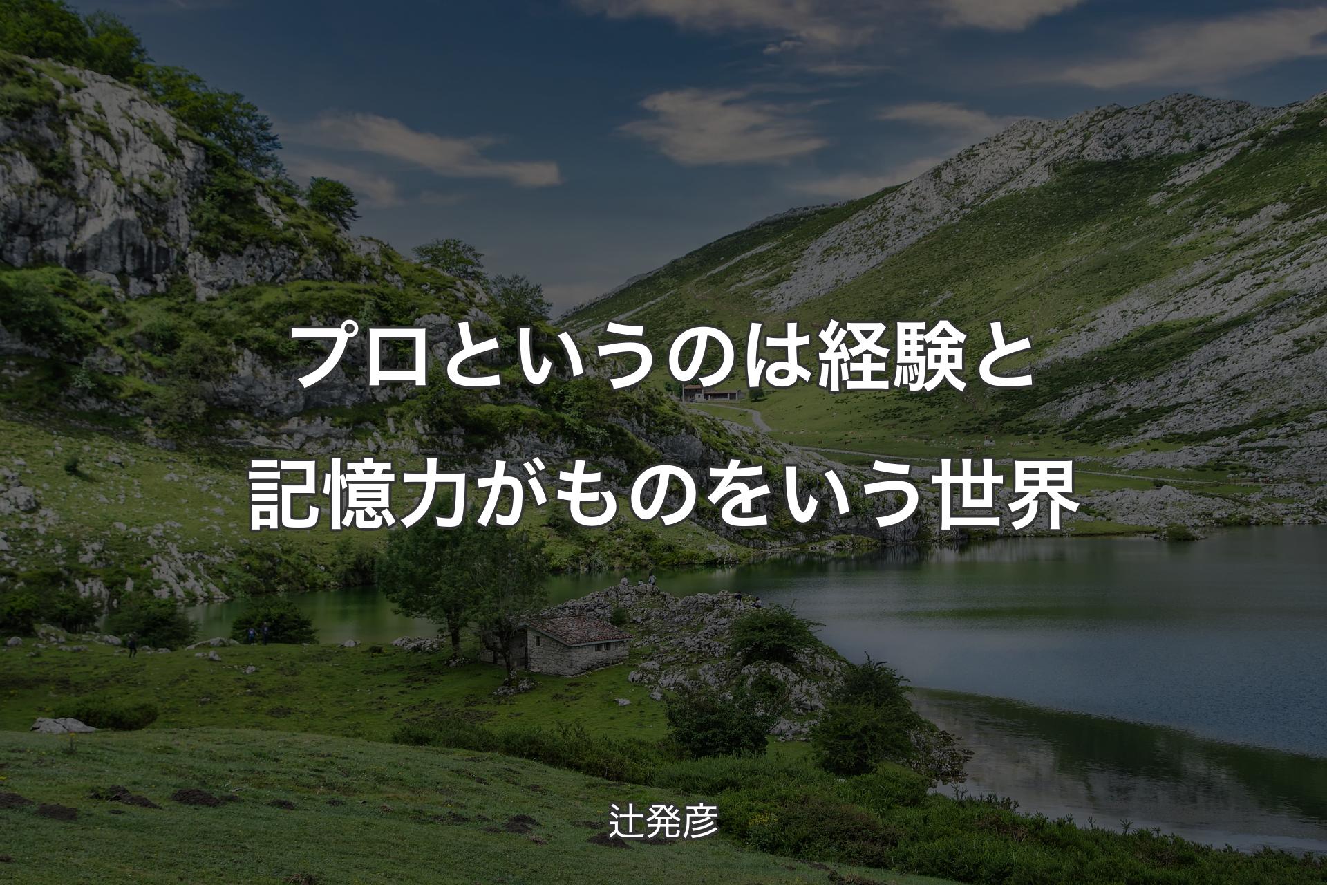 【背景1】プロというのは経験と記憶力がものをいう世界 - 辻発彦