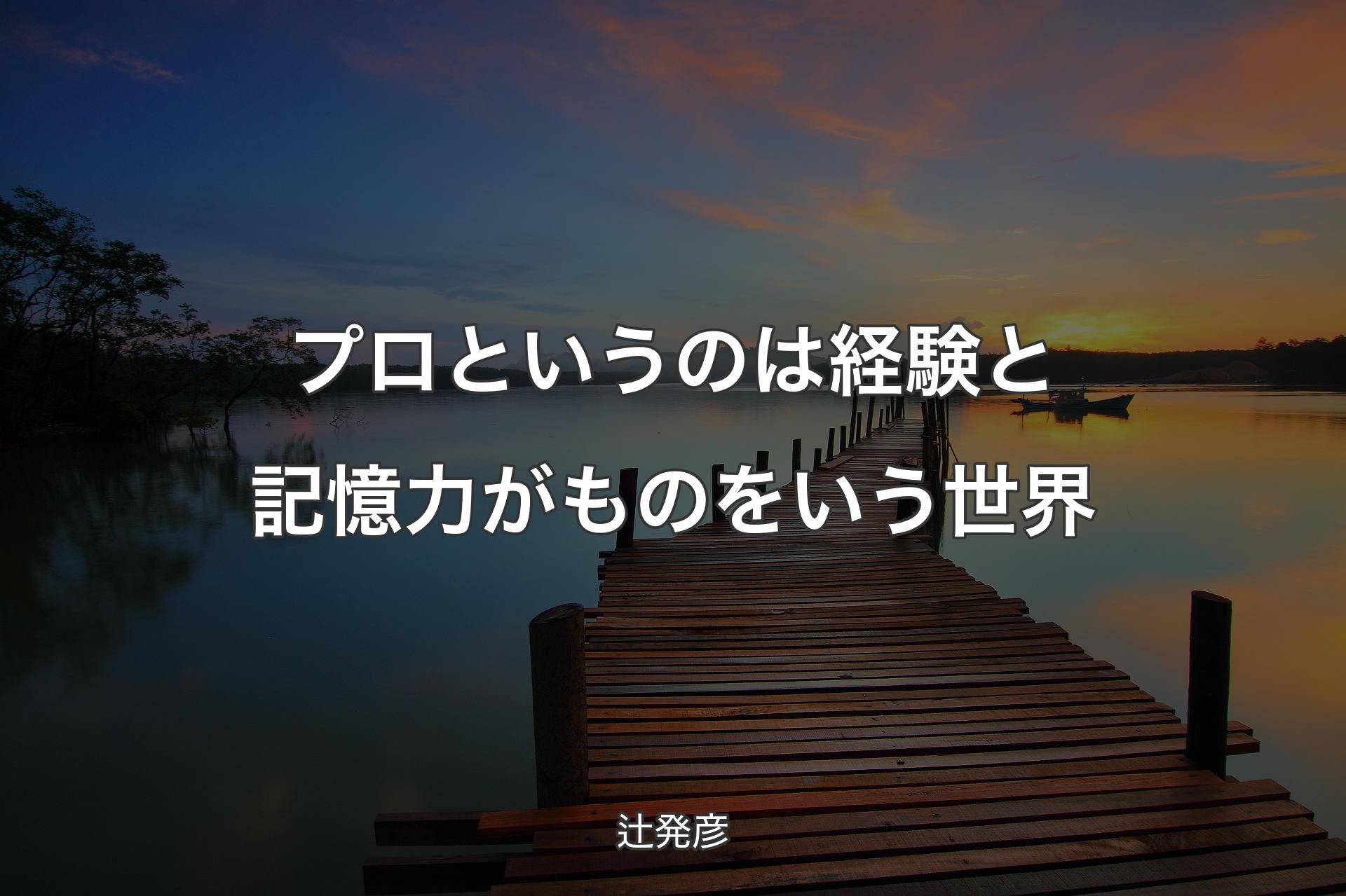 【背景3】プロというのは経験と記憶力がものをいう世界 - 辻発彦