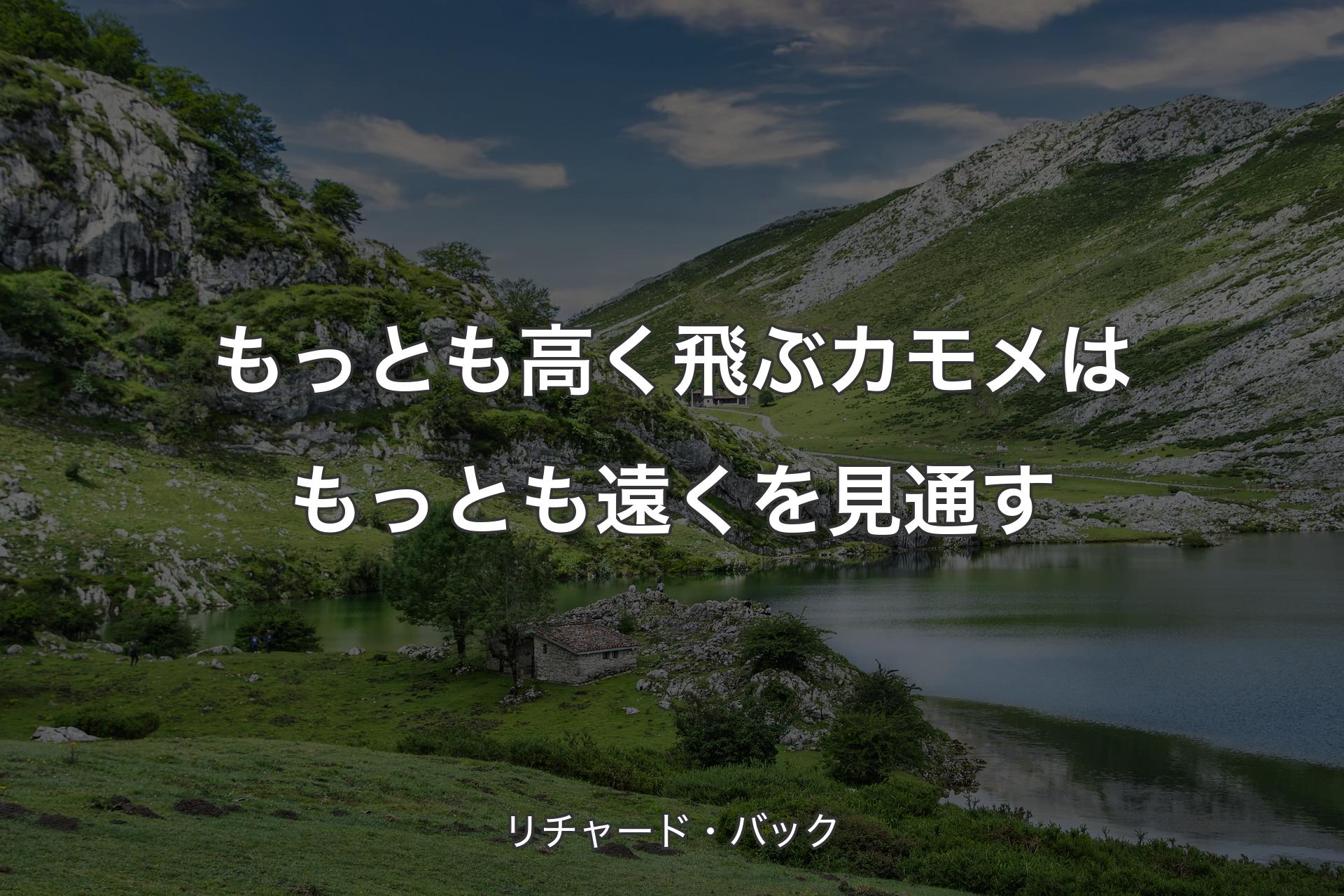 【背景1】もっとも高く飛ぶカモメはもっとも遠くを見通す - リチャード・バック