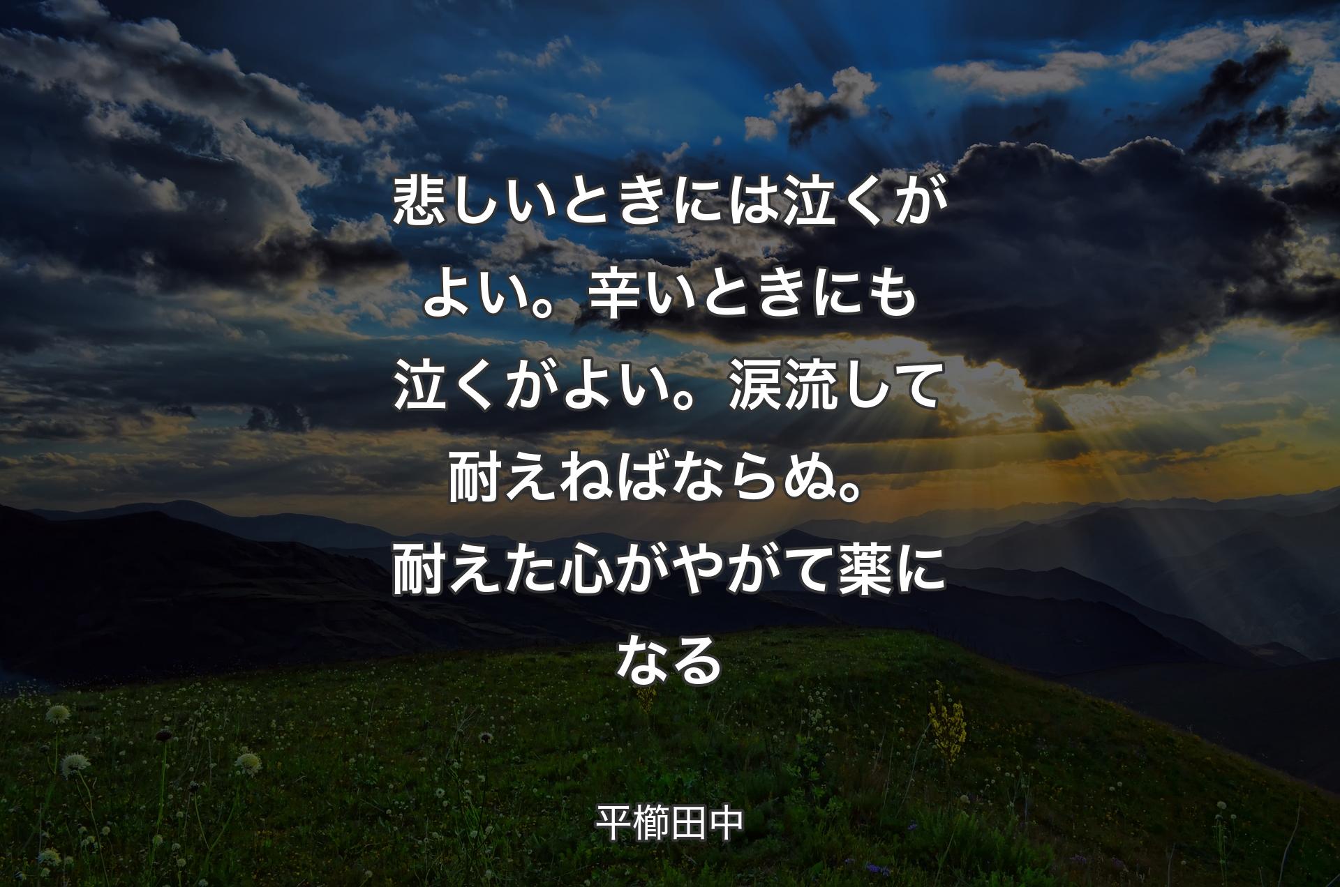 悲しいときには泣くがよい。辛いときにも泣くがよい。涙流して耐えねばならぬ。耐えた心がやがて薬になる - 平櫛田中