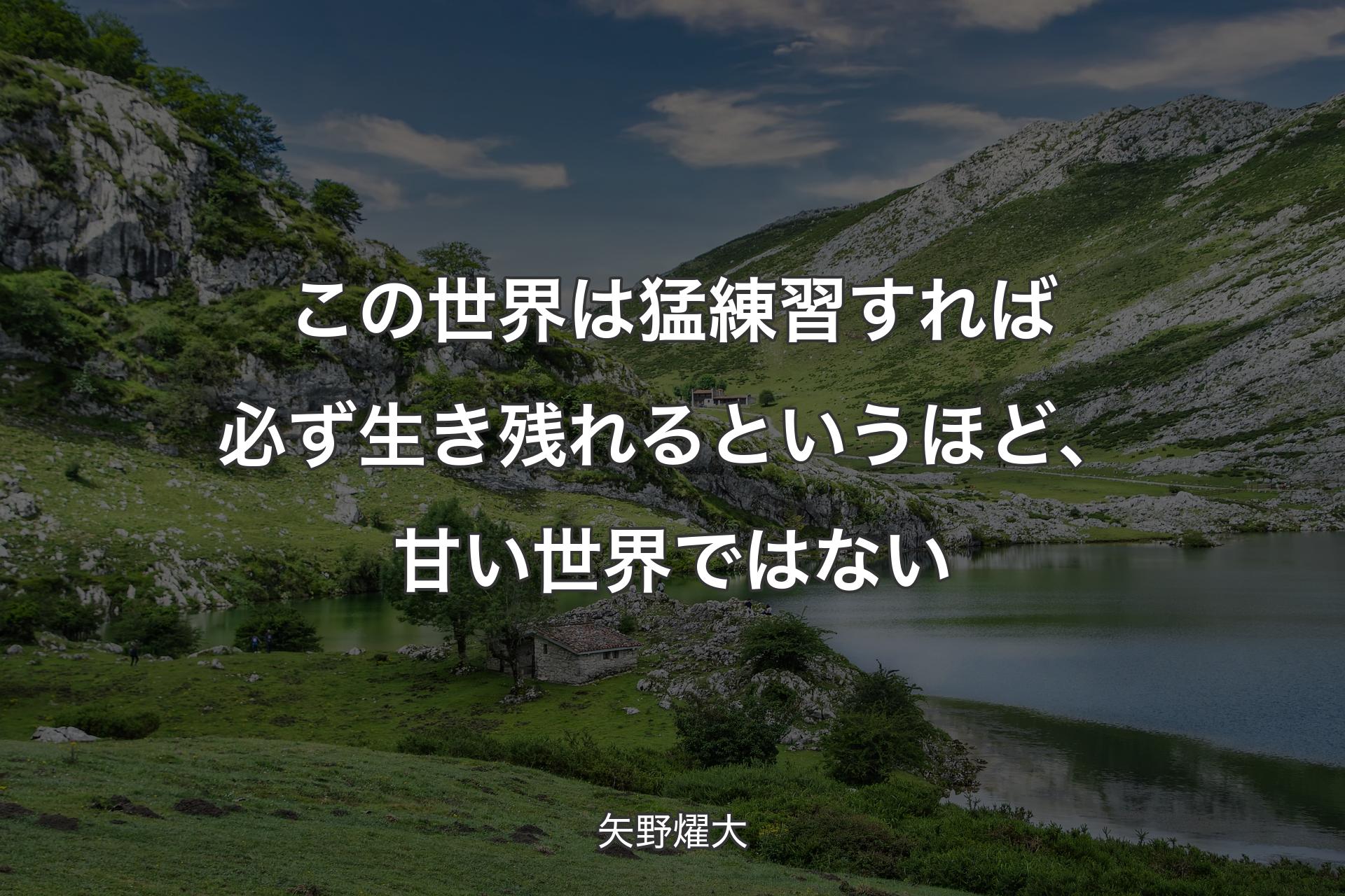 【背景1】この世界は猛練習すれば必ず生き残れるというほど、甘い世界ではない - 矢野燿大