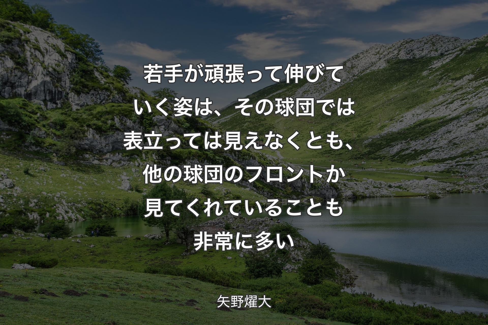 【背景1】若手が頑張って伸びていく姿は、その球団では表立っては見えなくとも、他の球団のフロントか見てくれていることも非常に多い - 矢野燿大