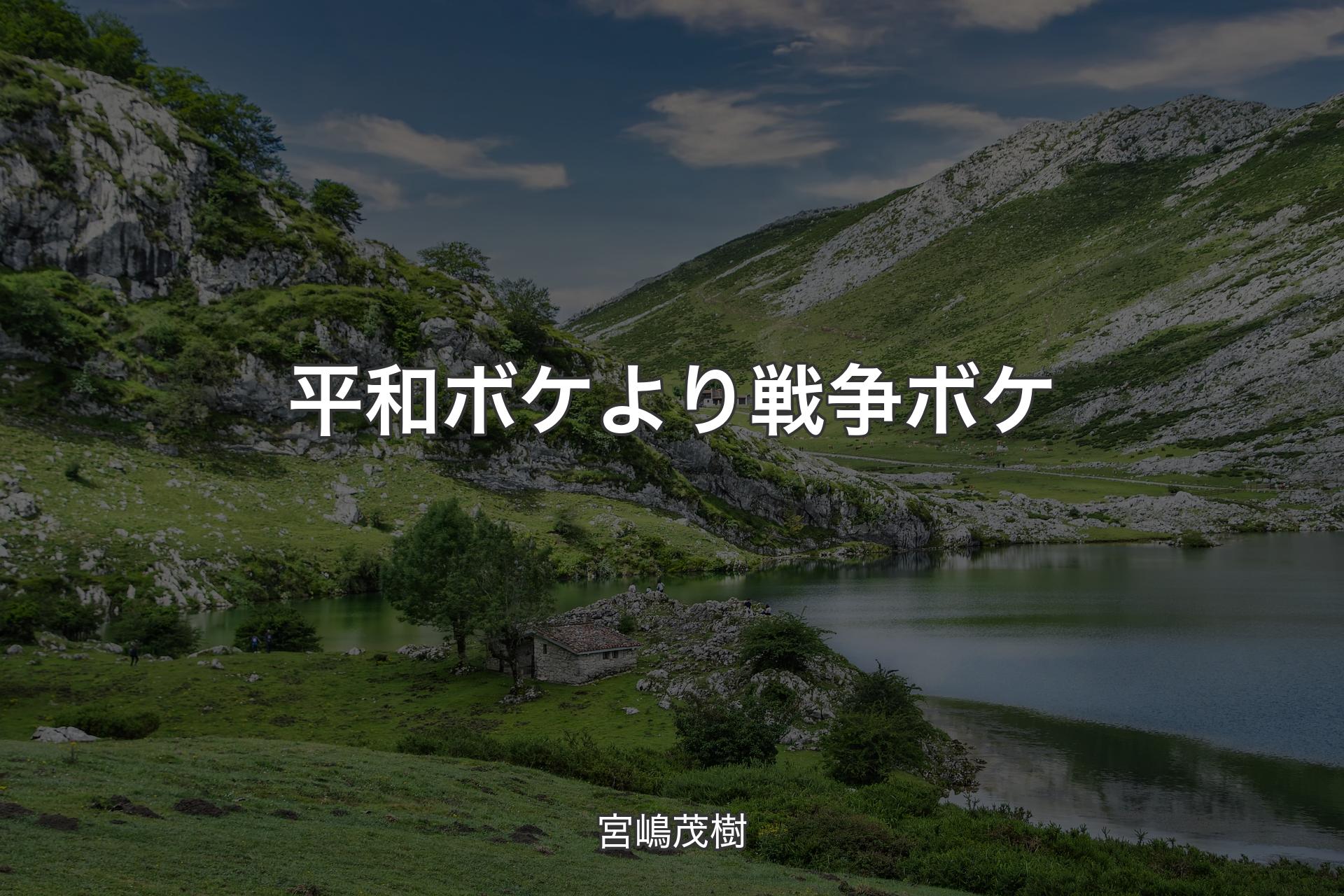 【背景1】平和ボケより 戦争ボケ - 宮嶋茂樹