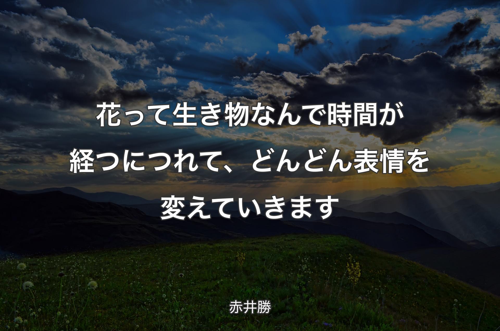 花って生き物なんで時間が経つにつれて、どんどん表情を変えていきます - 赤井勝