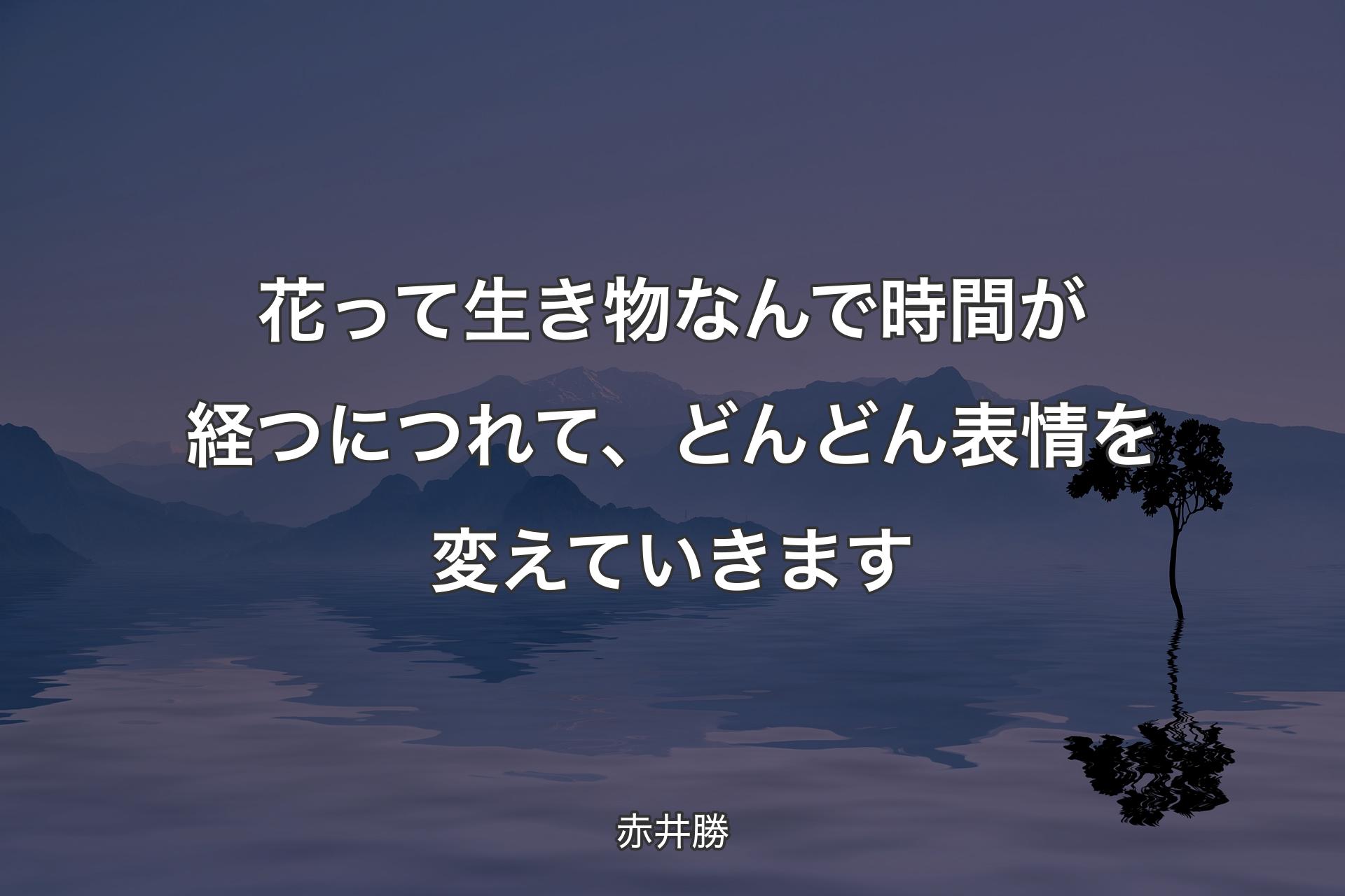 【背景4】花って生き物なんで時間が経つにつれて、どんどん表情を変えていきます - 赤井勝