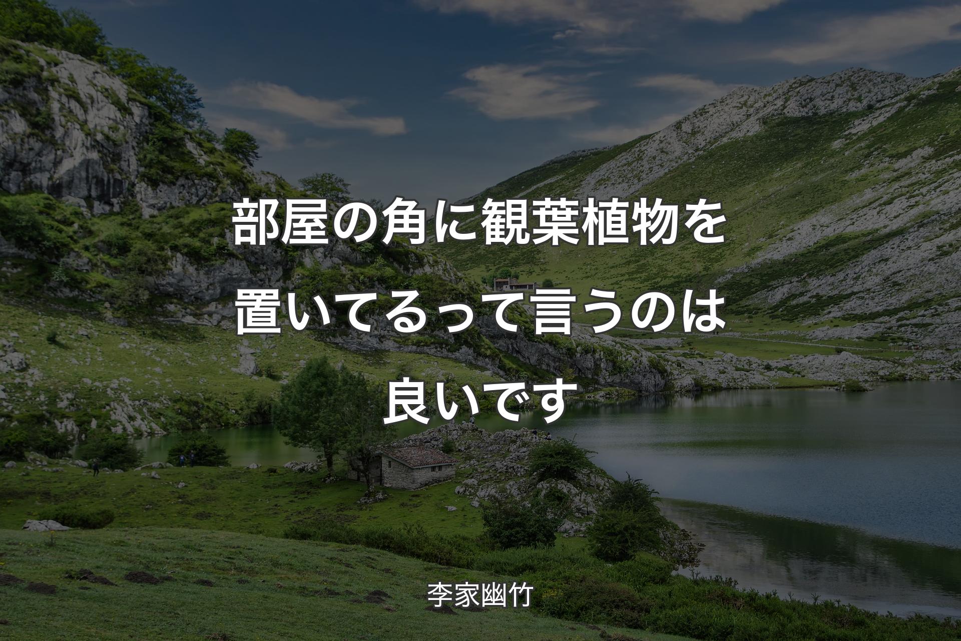 【背景1】部屋の角に観葉植物を置いてるって言うのは良いです - 李家幽竹