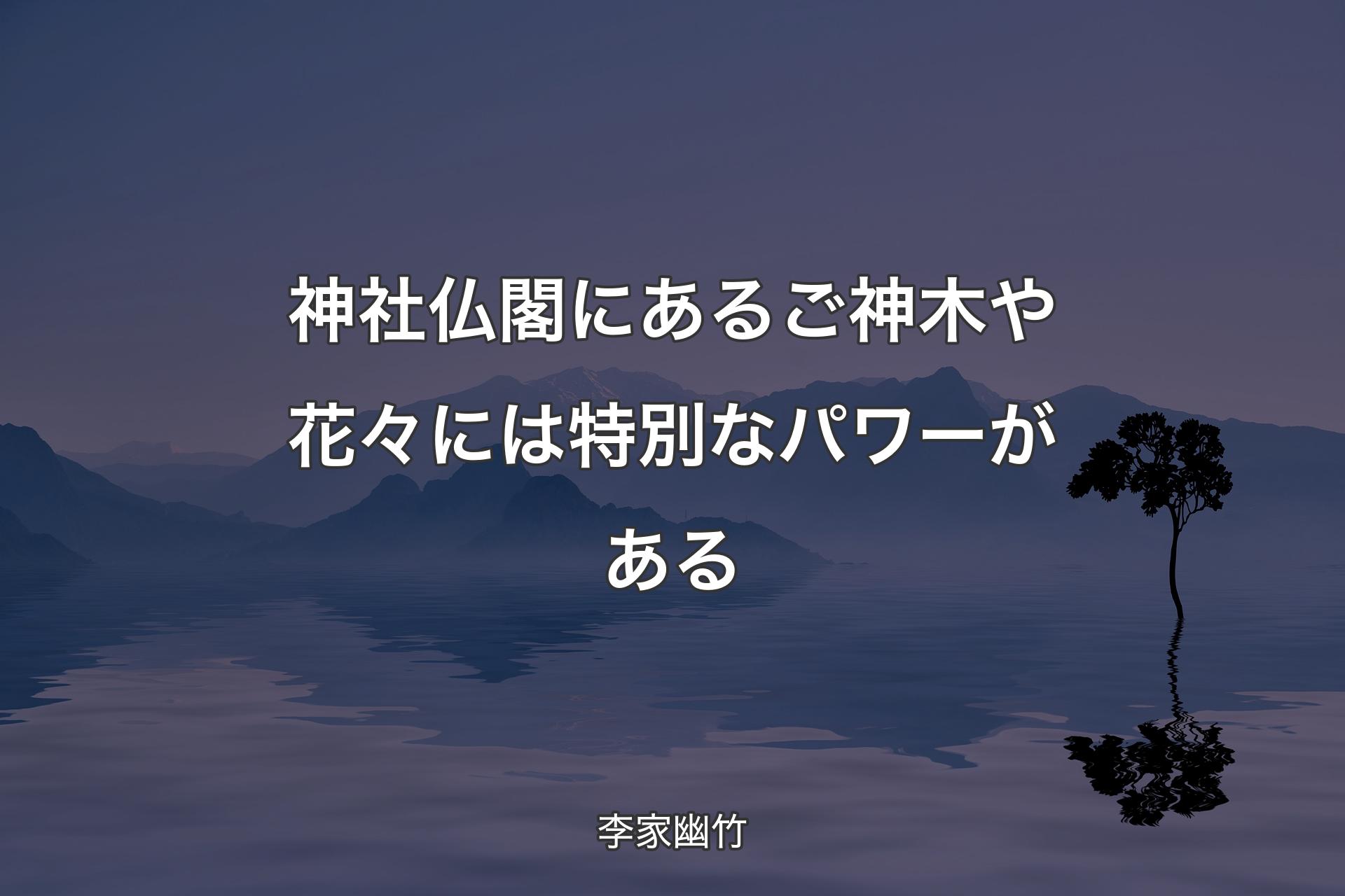 神社仏閣にあるご神木や花々には特別なパワーがある - 李家幽竹