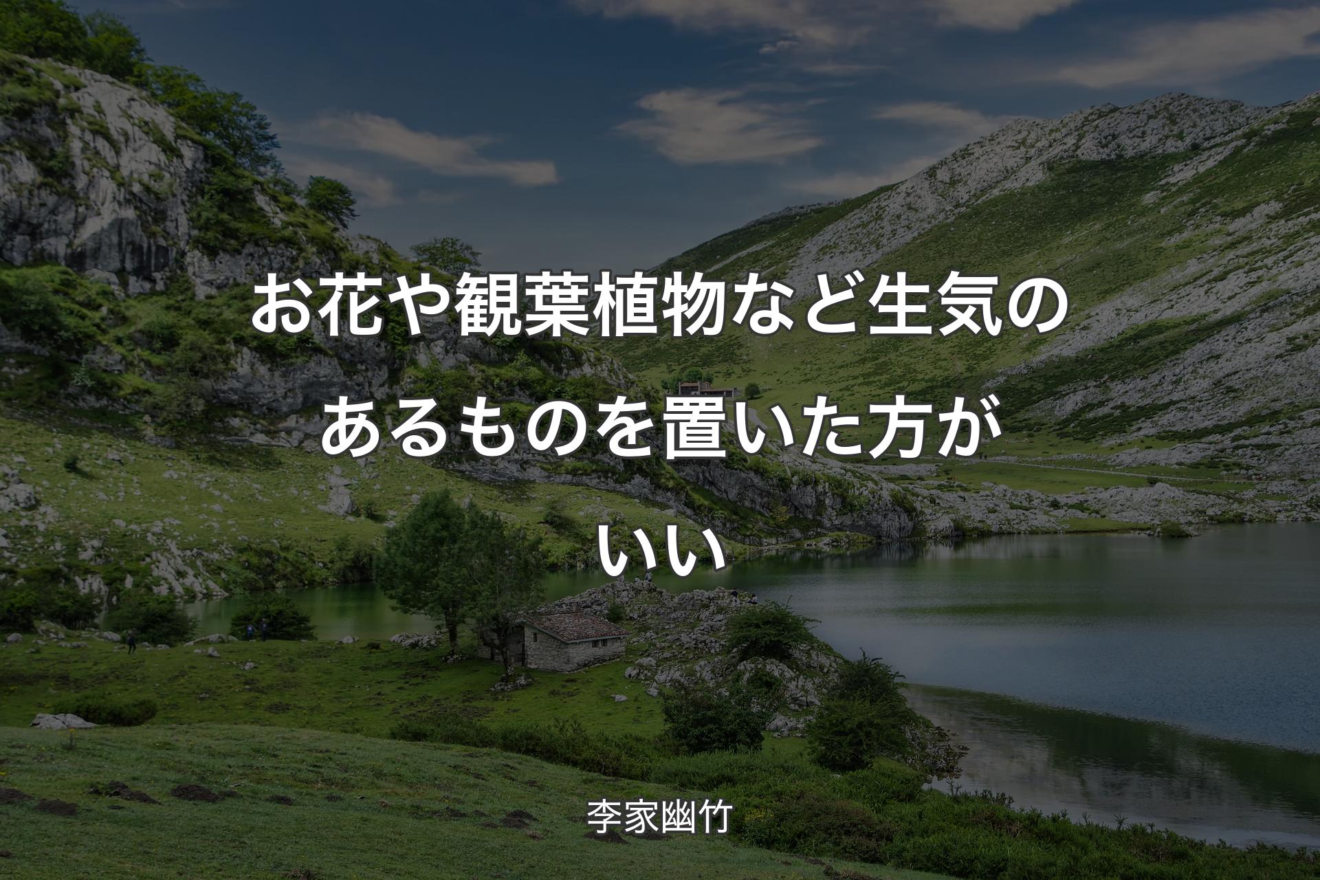 【背景1】お花や観葉植物など生気のあるものを置いた方がいい - 李家幽竹