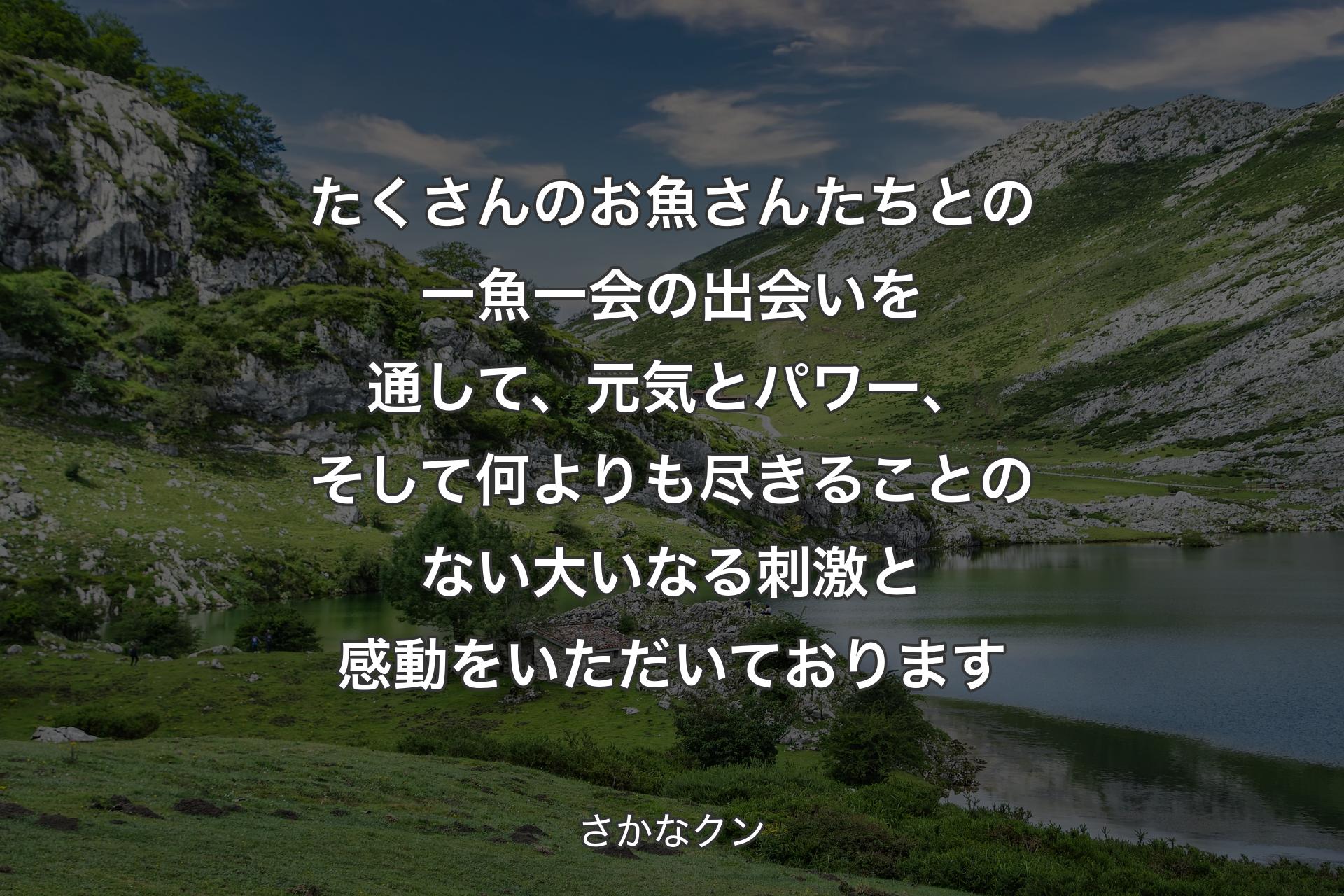 たくさんのお魚さんたちとの一魚一会の出会いを通して、元気とパワー、そして何よりも尽きることのない大いなる刺激と感動をいただいております - さかなクン